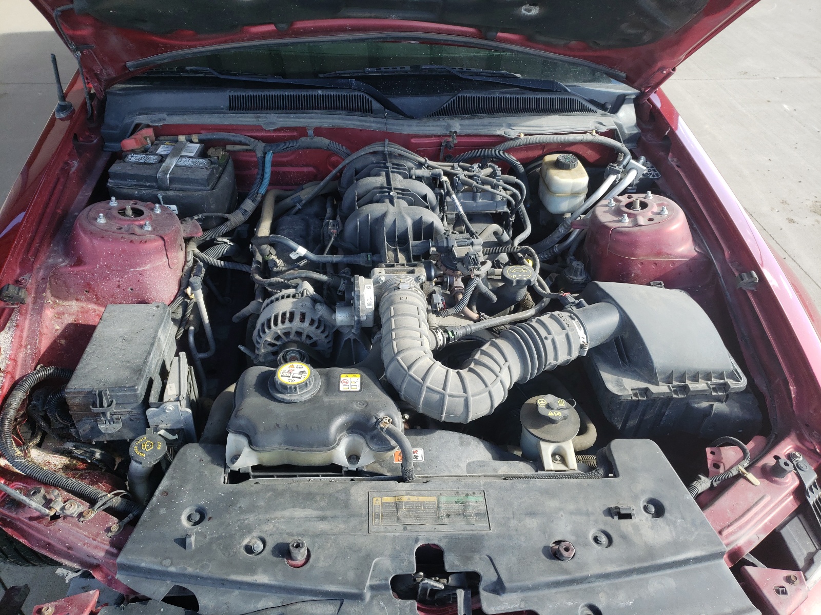 Photo 7 from auction – 2007 FORD MUSTANG with VIN 1ZVFT80N975365430