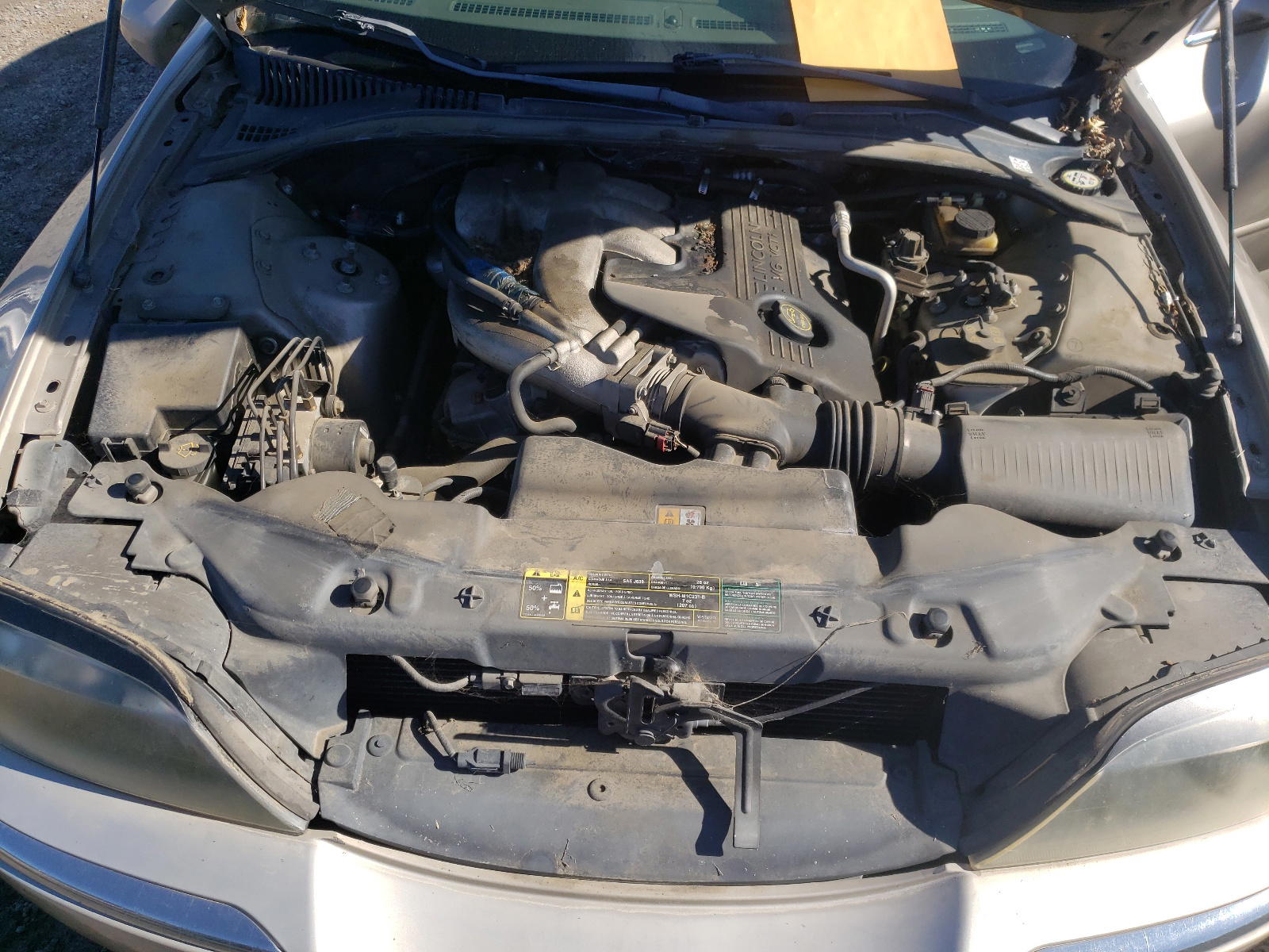 Photo 7 from auction – 2005 LINCOLN LS with VIN 1LNHM86S75Y600789