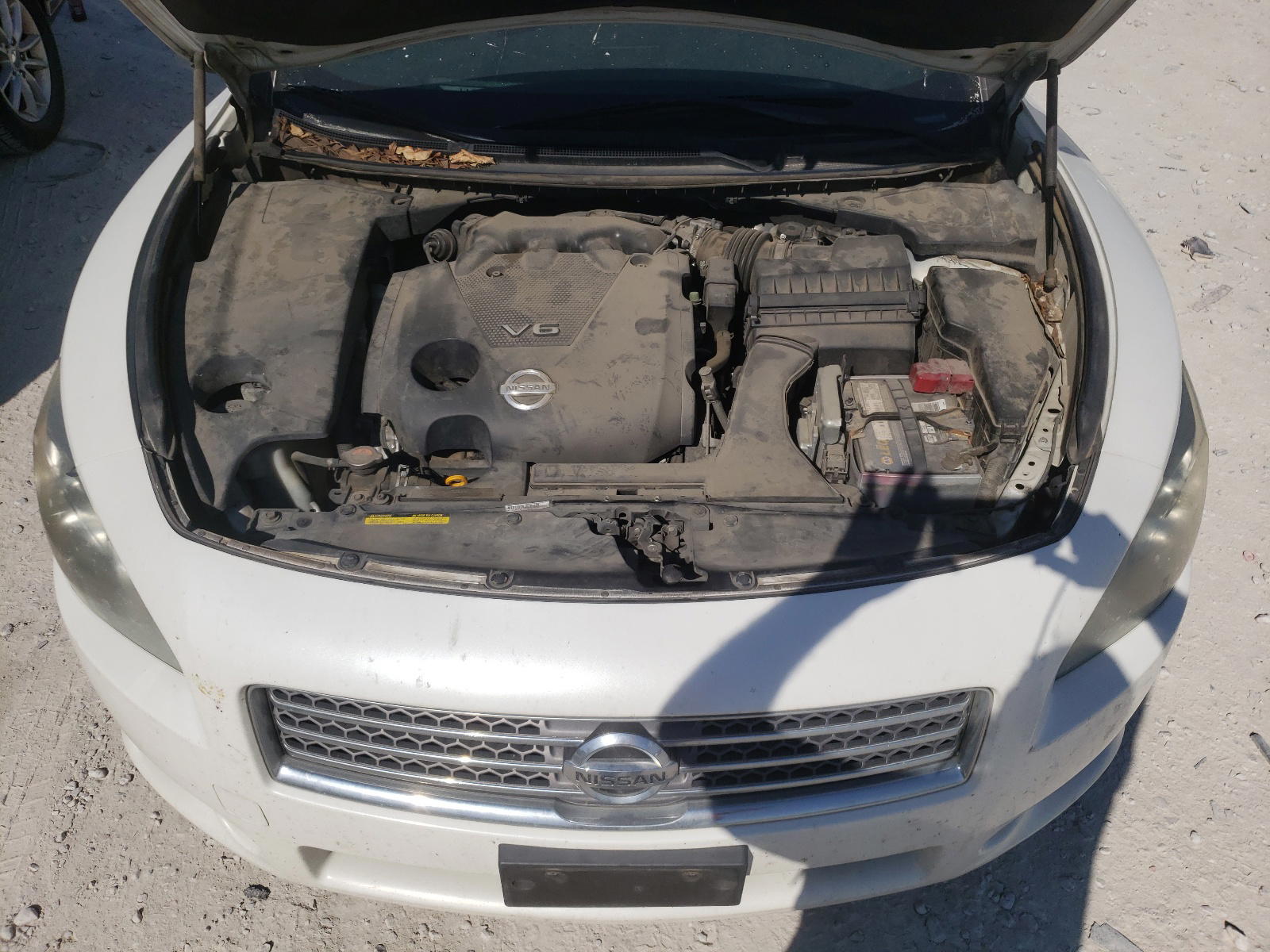 Photo 7 from auction – 2011 NISSAN MAXIMA S with VIN 1N4AA5AP4BC847492