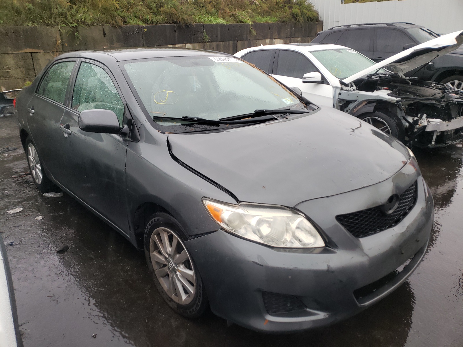 TOYOTA COROLLA BA 2009 with VIN JTDBL40E199031172 - Photo from auction
