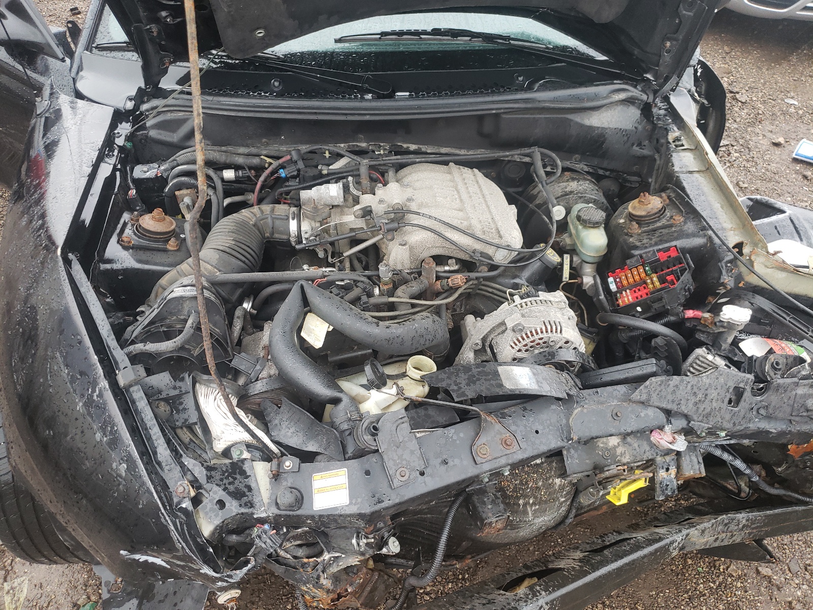 Photo 7 from auction – 1998 FORD MUSTANG with VIN 1FAFP4048WF167041