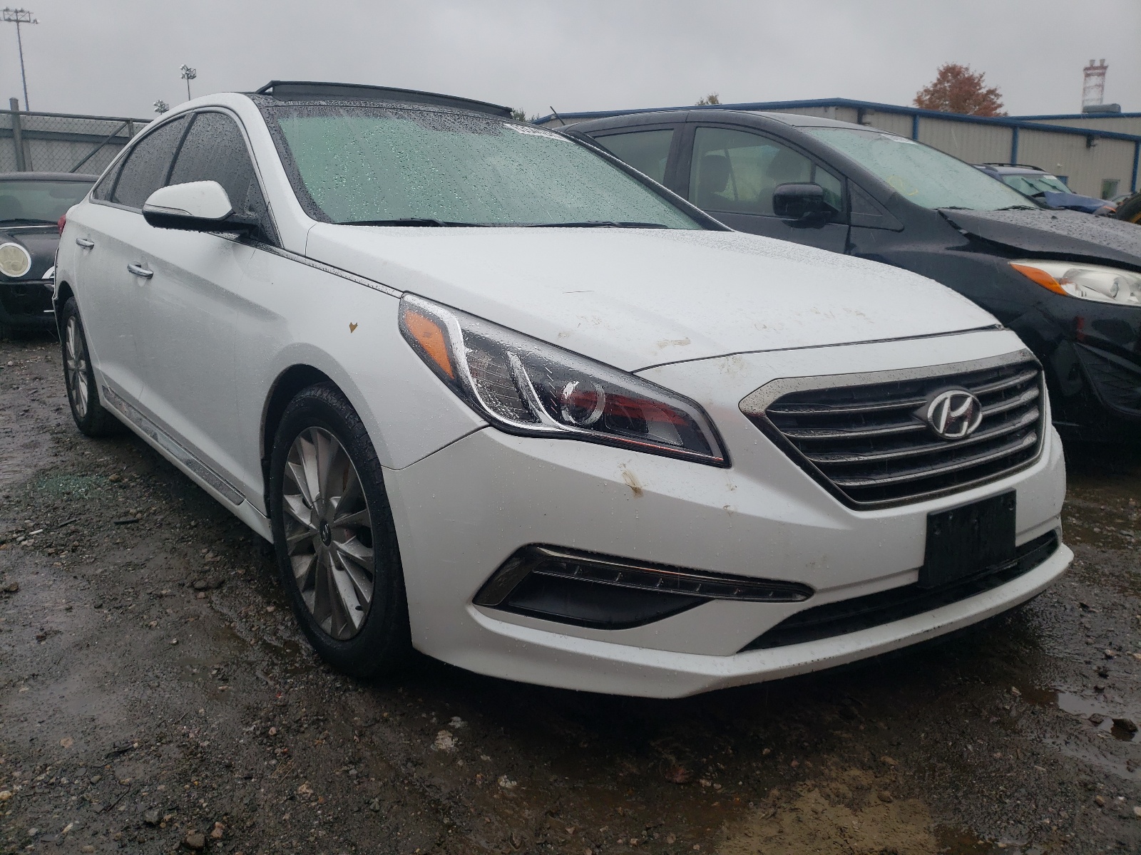 HYUNDAI SONATA SPO 2015 with VIN 5NPE34AF4FH038396 - Photo from auction
