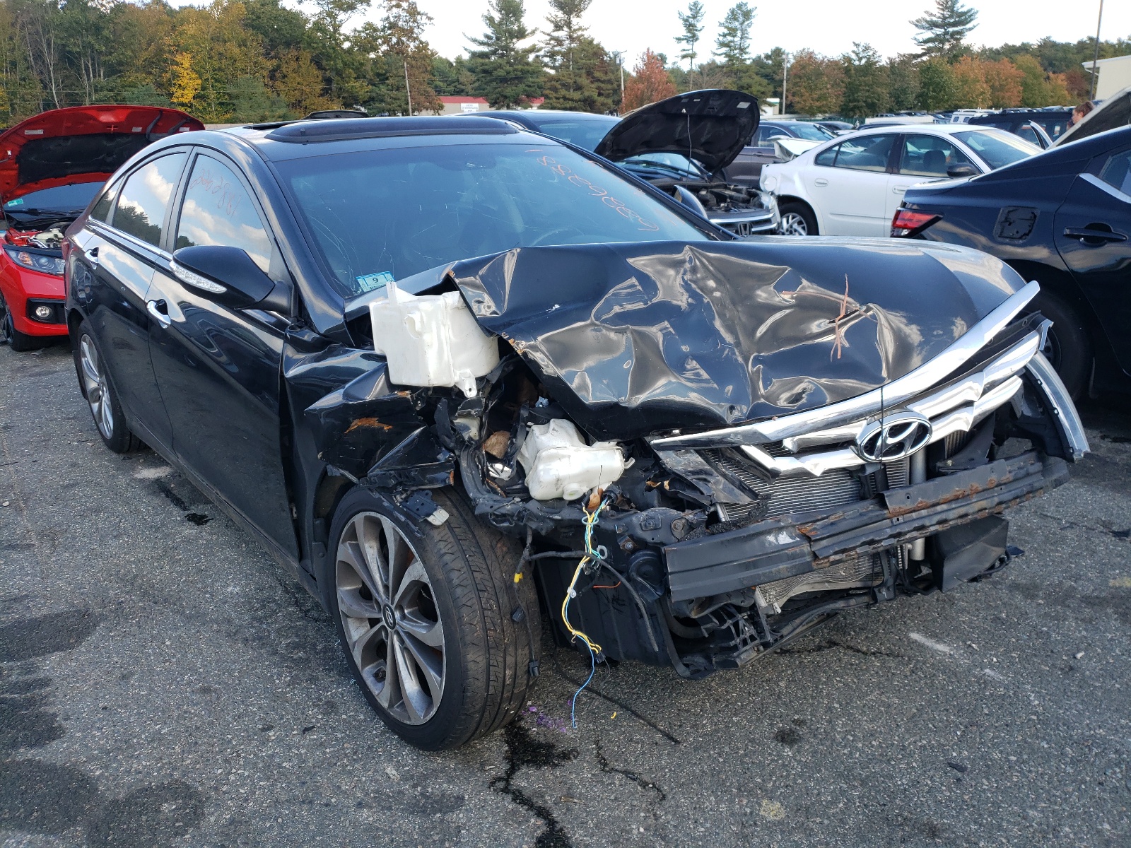 Photo 1 from auction – 2013 HYUNDAI SONATA SE with VIN 5NPEC4AB3DH656125