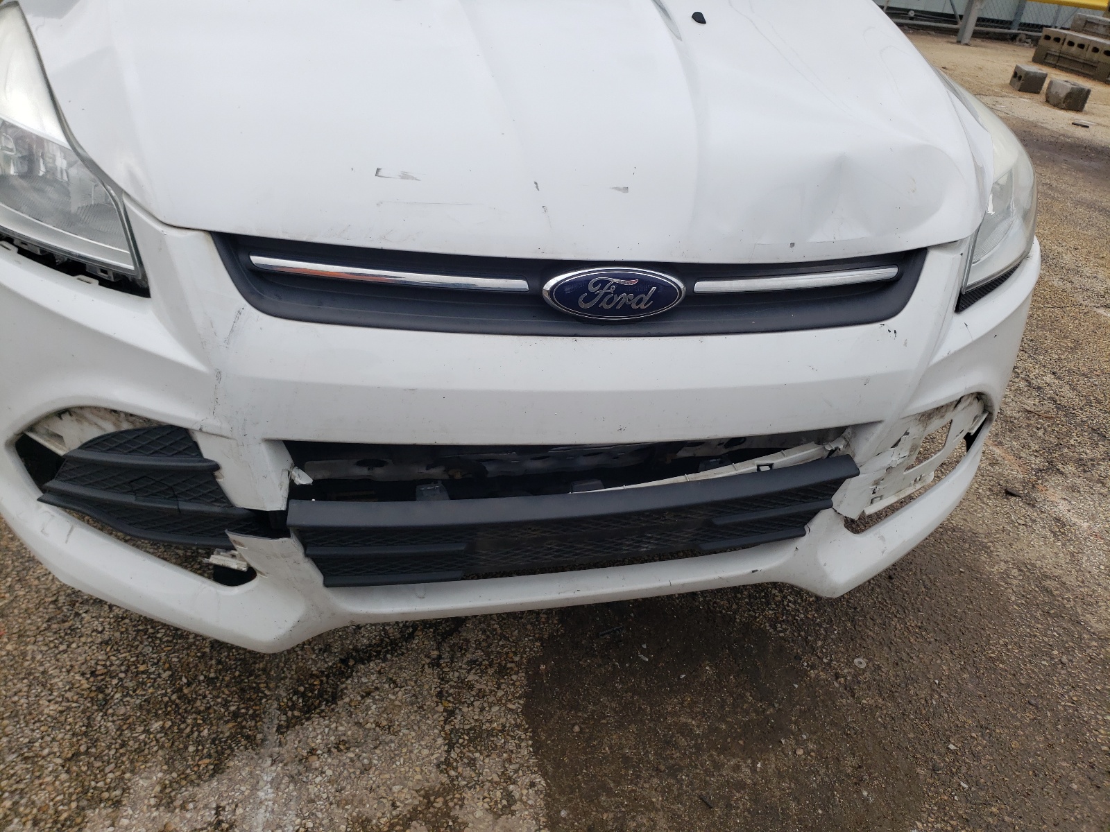 Photo 9 from auction – 2014 FORD ESCAPE SE with VIN 1FMCU9GX7EUC02631