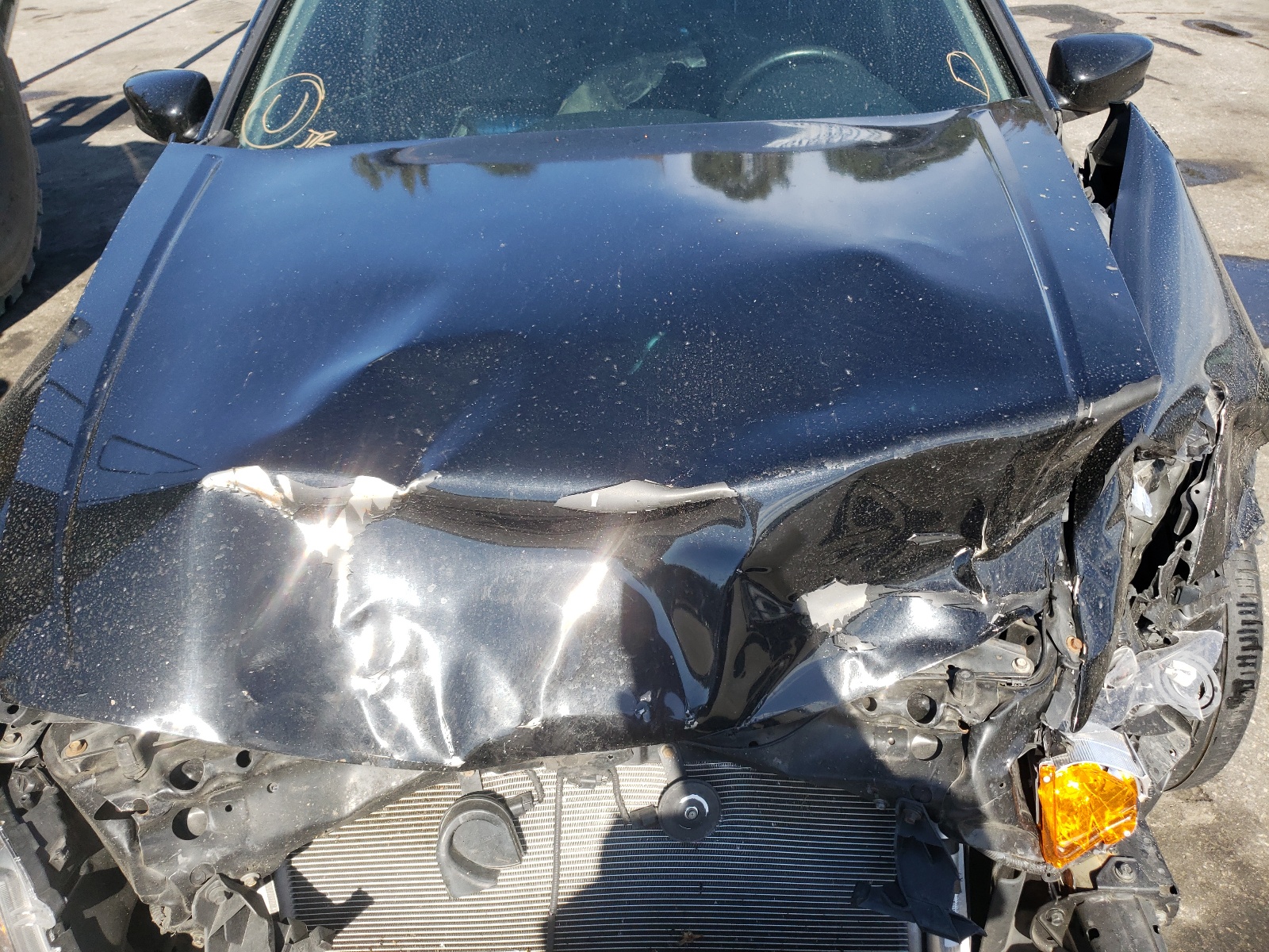 Photo 7 from auction – 2012 HONDA ACCORD EXL with VIN 1HGCP2F81CA145503