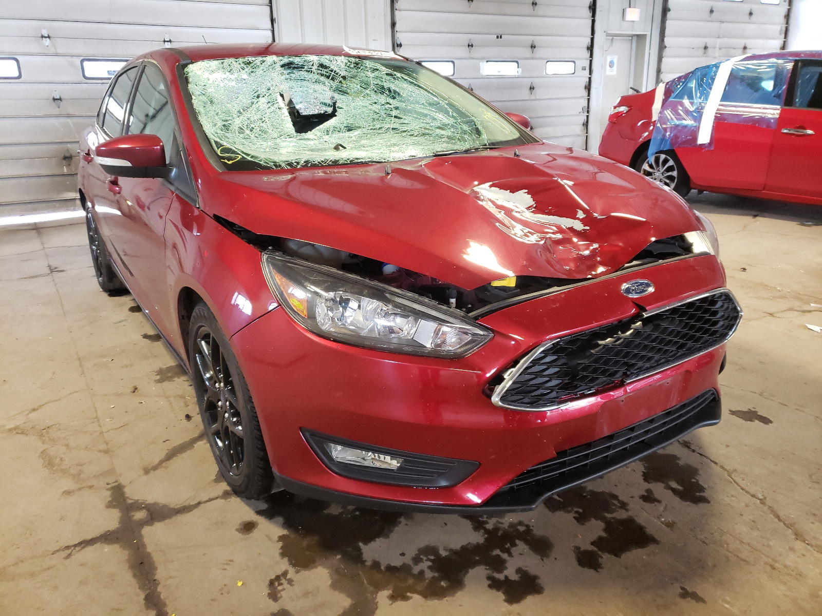 FORD FOCUS SE 2016 with VIN 1FADP3F2XGL282184 - Photo from auction