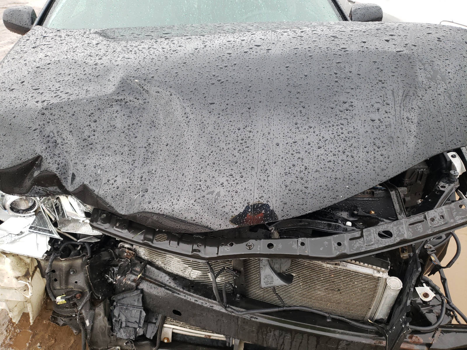Photo 7 from auction – 2009 TOYOTA CAMRY BASE with VIN 4T1BE46K99U411053