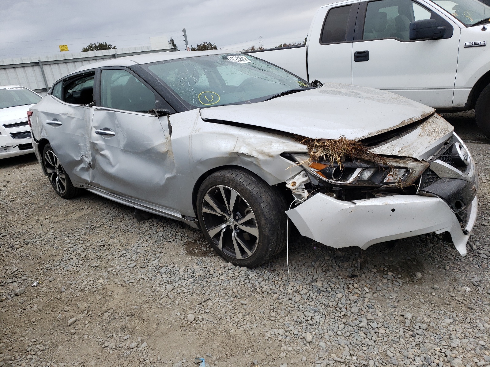 NISSAN MAXIMA 3.5 2018 with VIN 1N4AA6AP9JC377285 - Photo from auction