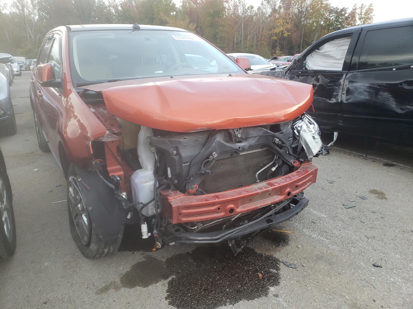 FORD EDGE SEL P 2007 with VIN 2FMDK49C87BA99297 - Photo from auction
