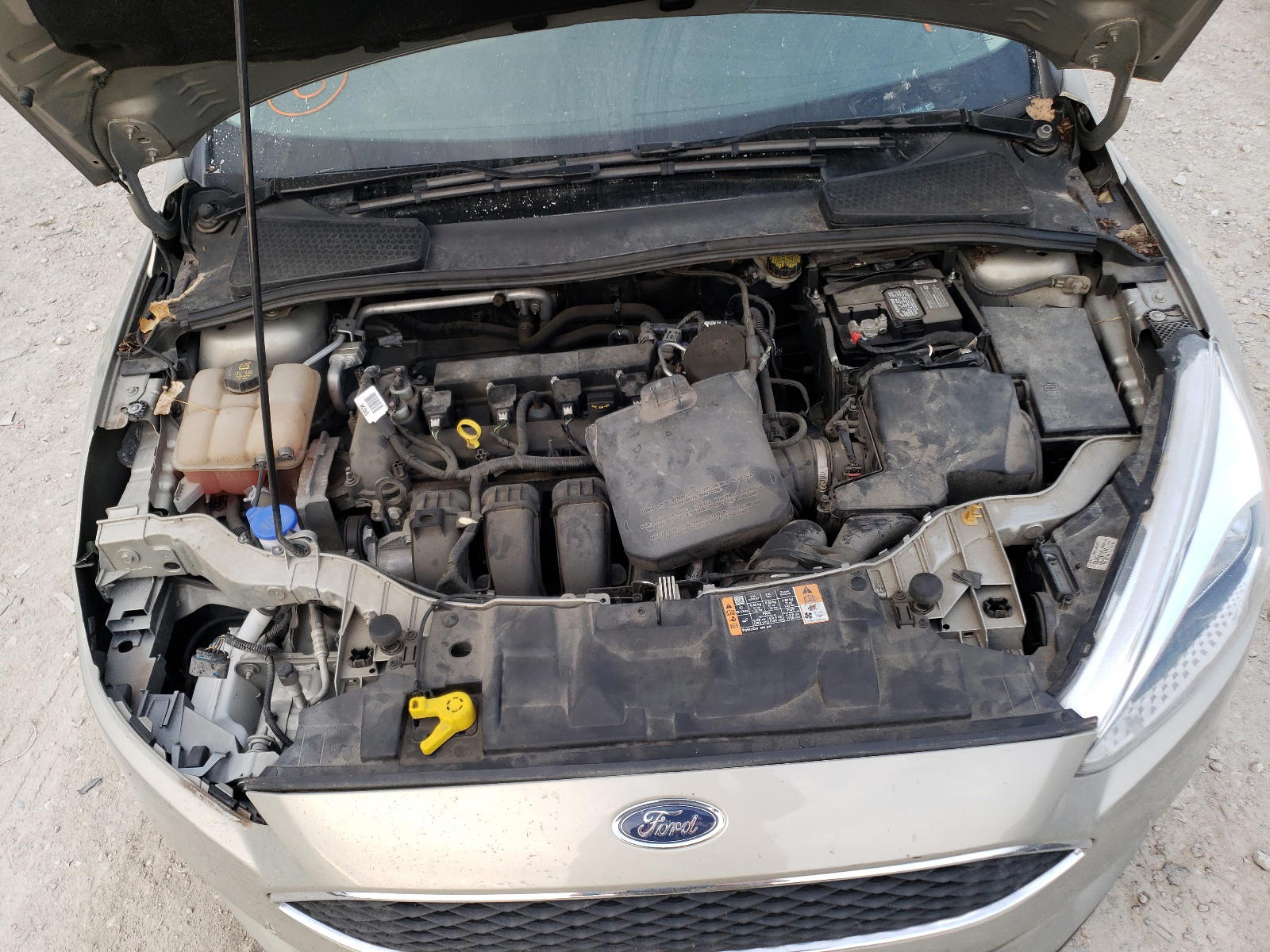 Photo 7 from auction – 2016 FORD FOCUS SE with VIN 1FADP3F27GL221052