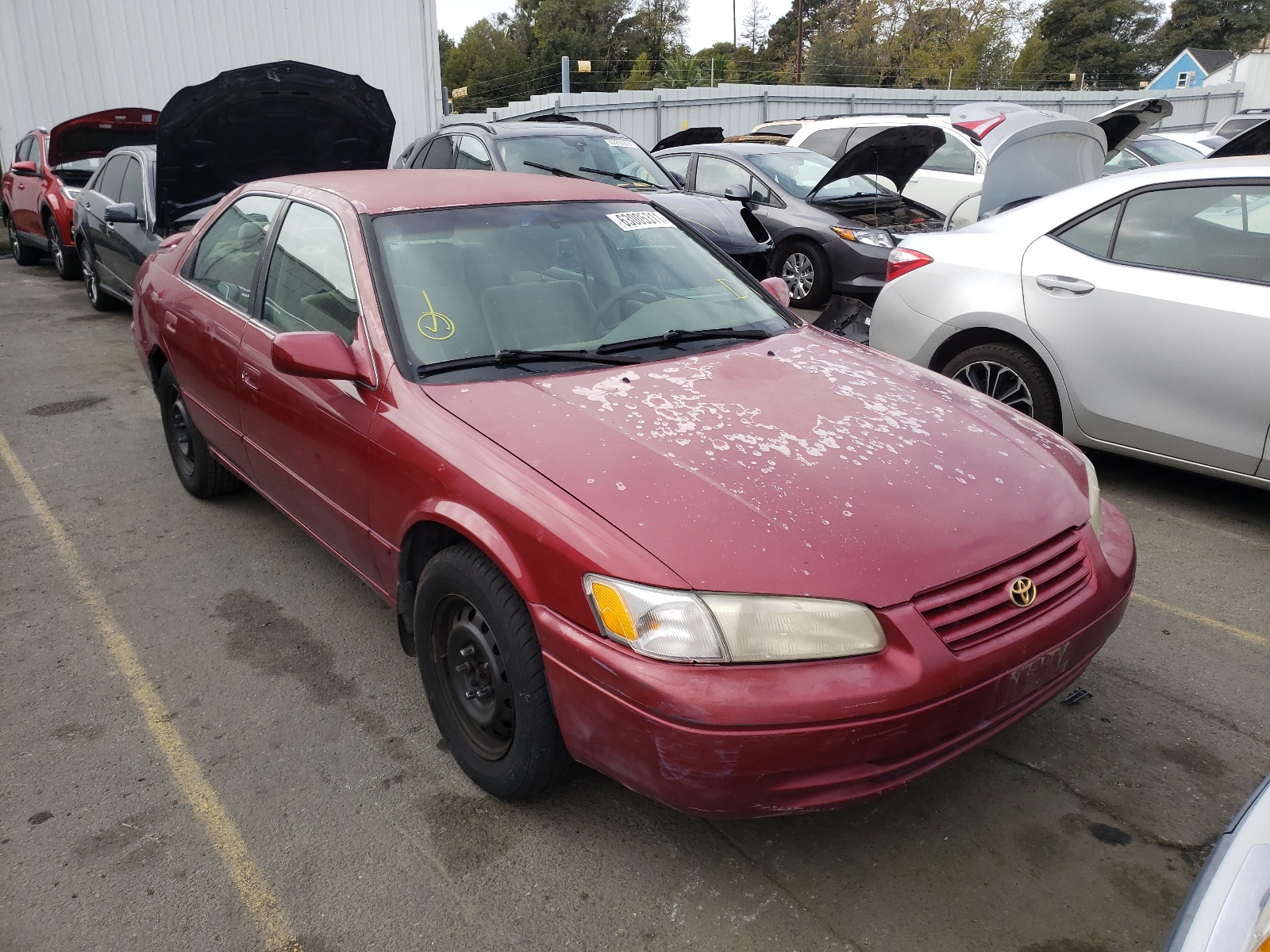 TOYOTA CAMRY CE 1998 with VIN JT2BF22K2W0123446 - Photo from auction