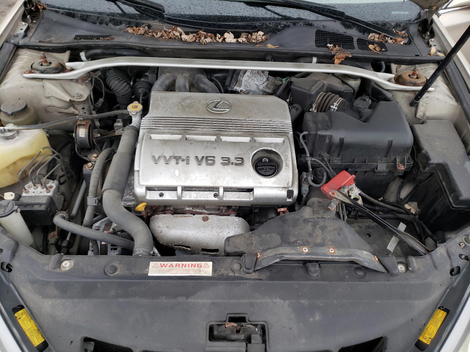 Photo 7 from auction – 2005 LEXUS ES 330 with VIN JTHBA30G255091754
