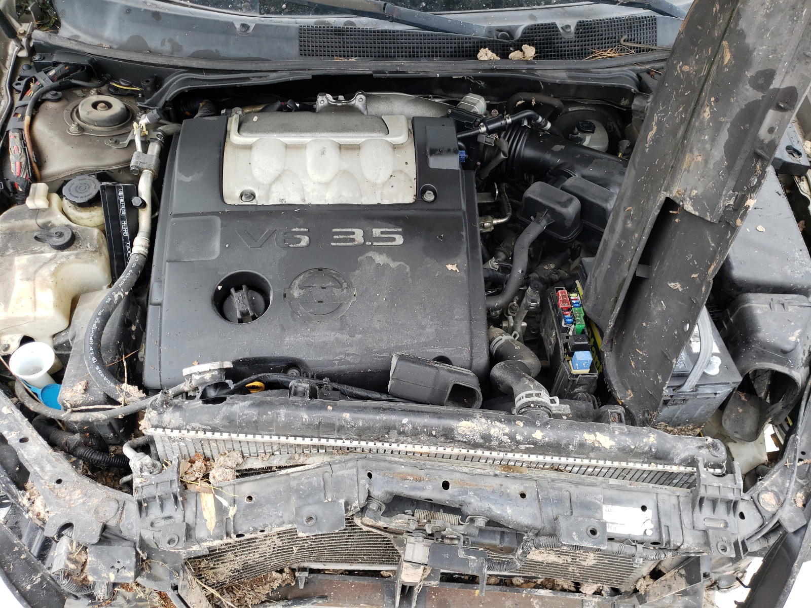 Photo 7 from auction – 2008 NISSAN MAXIMA SE with VIN 1N4BA41EX8C828208