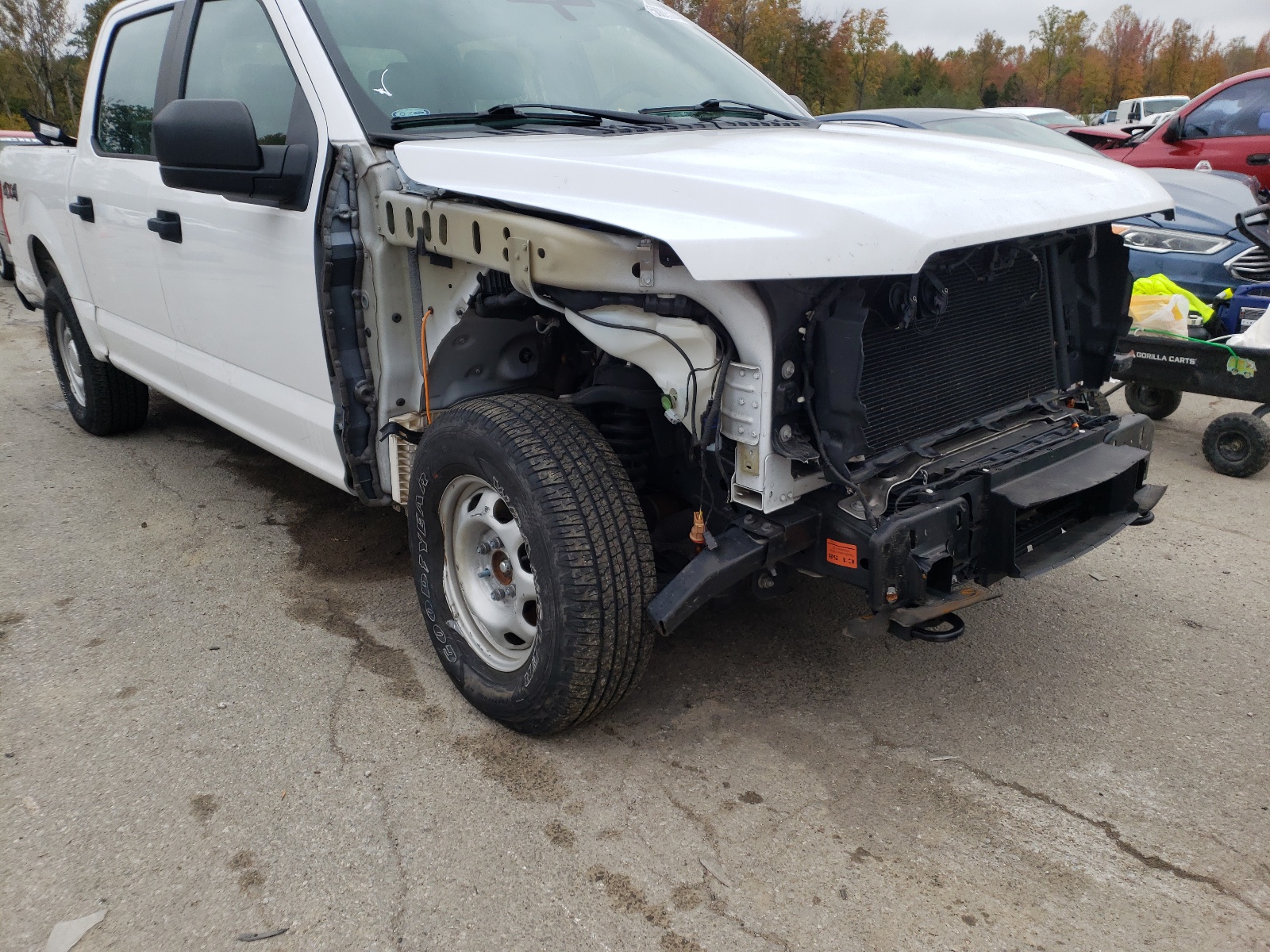 Photo 1 from auction – 2019 FORD F150 SUPER with VIN 1FTEW1EP2KKC83461
