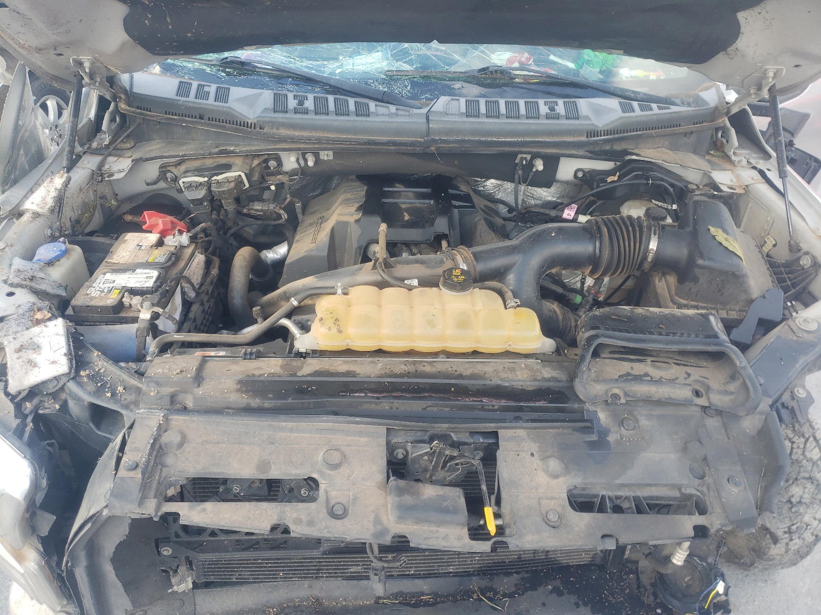 Photo 7 from auction – 2015 FORD F150 SUPER with VIN 1FTEX1EP8FFA47554