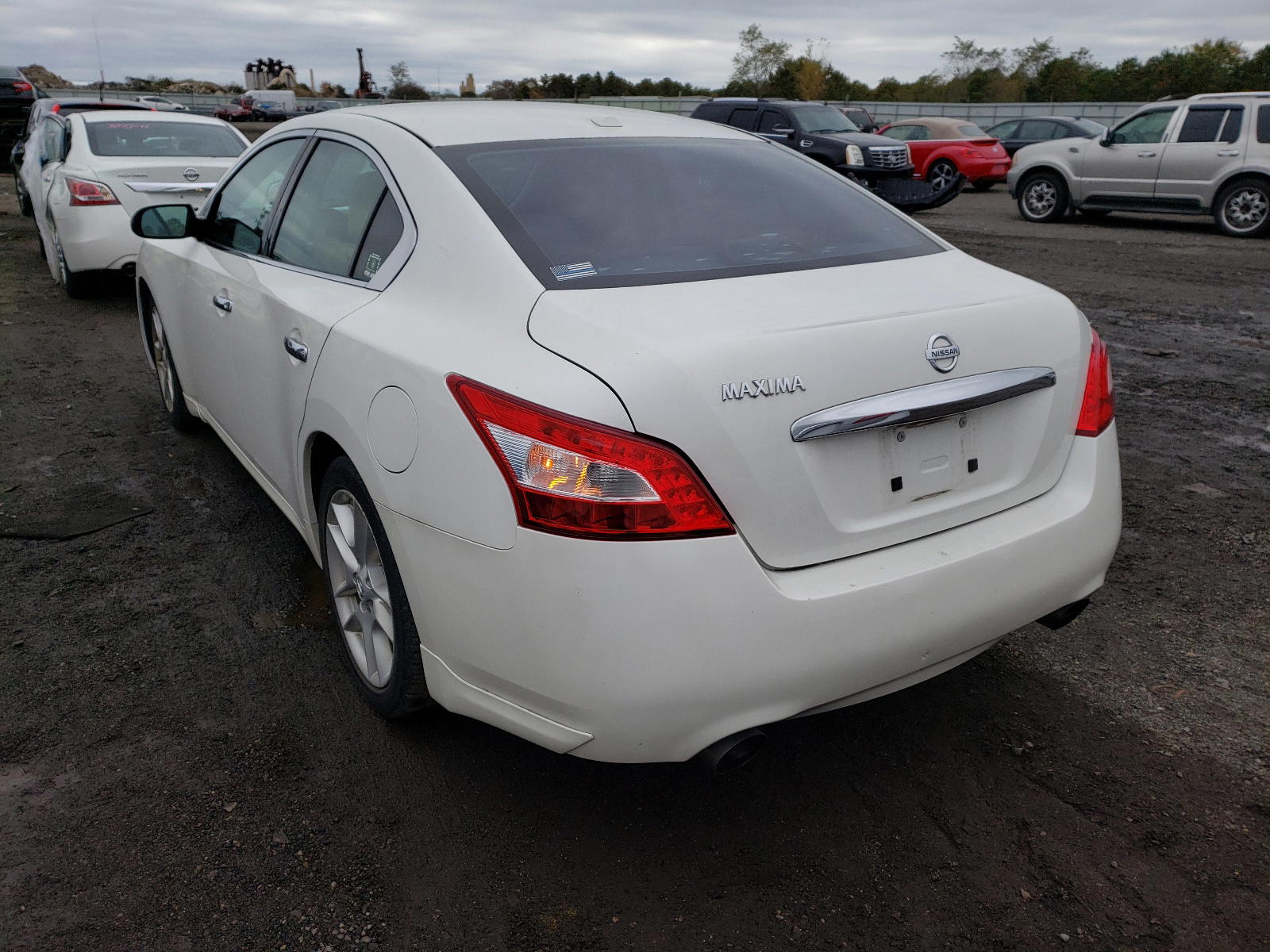 Photo 3 from auction – 2010 NISSAN MAXIMA S with VIN 1N4AA5AP6AC818073