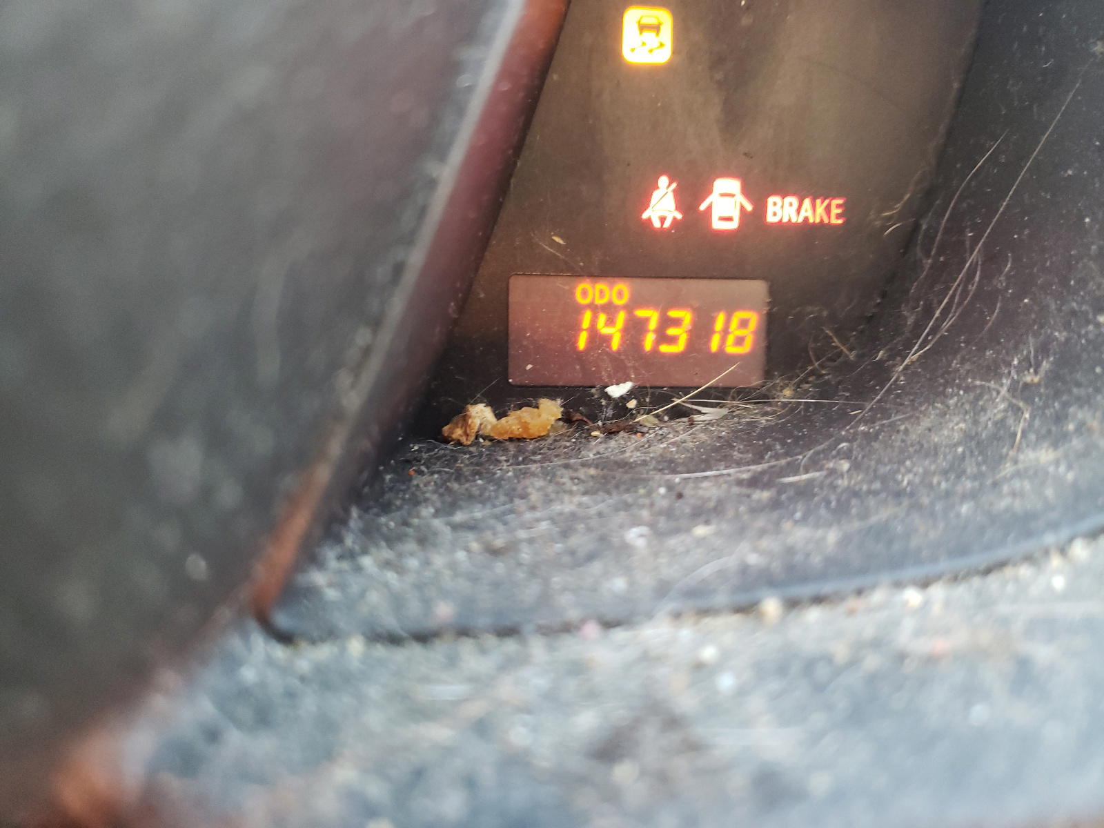 Photo 8 from auction – 2010 TOYOTA SCION XD with VIN JTKKU4B44A1004609