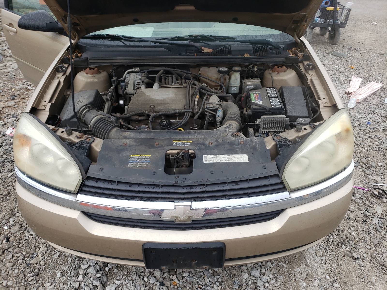 Photo 7 from auction – 2004 CHEVROLET MALIBU LS with VIN 1G1ZT52874F113017