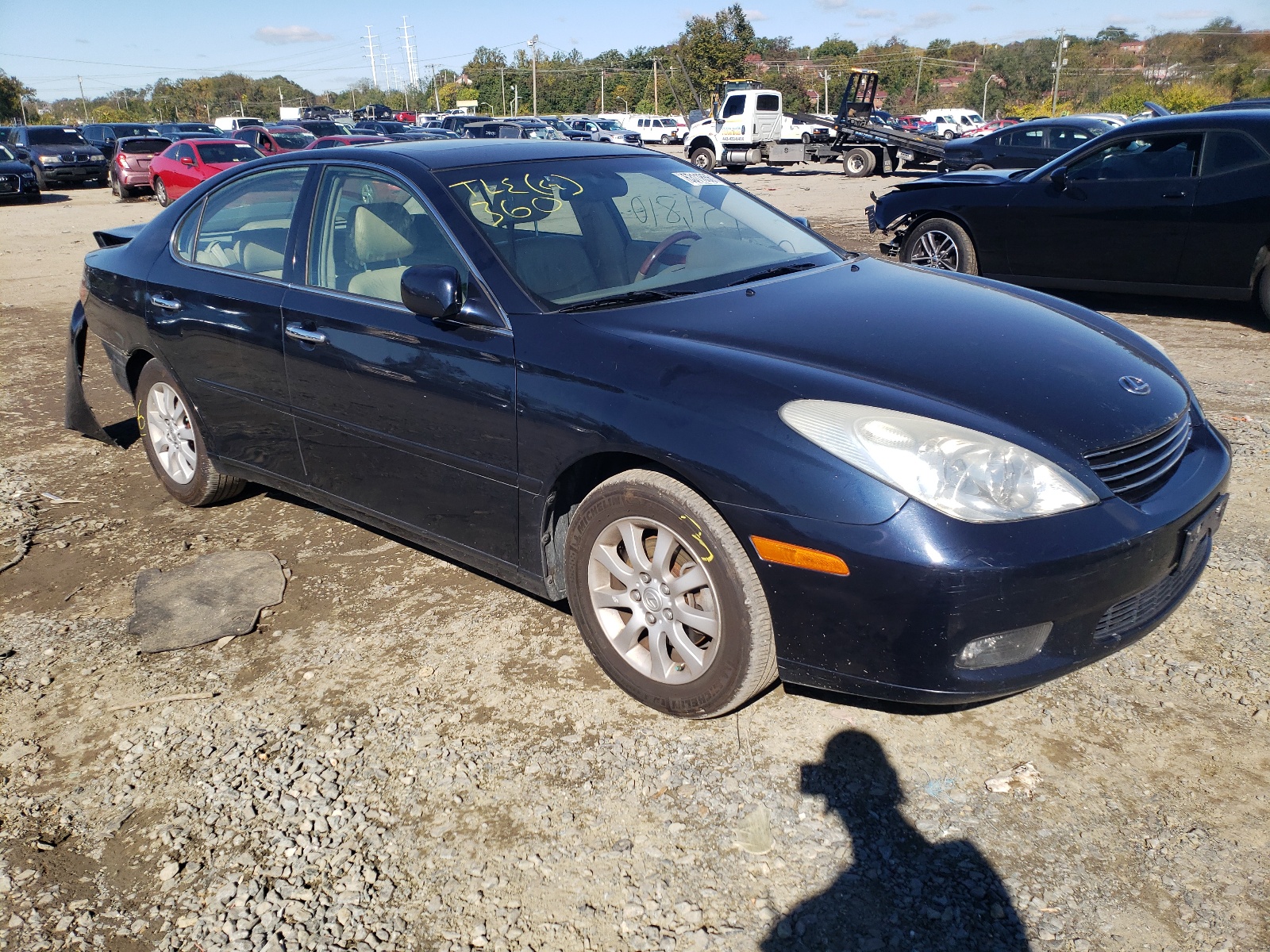 LEXUS ES 300 2003 with VIN JTHBF30G535041073 - Photo from auction