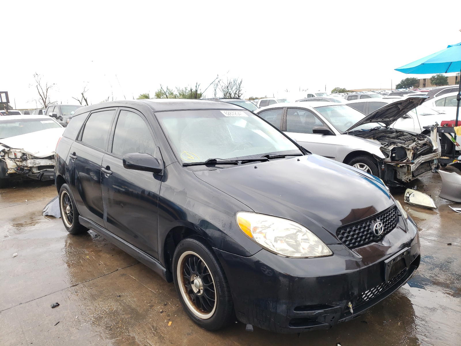 TOYOTA COROLLA MA 2004 with VIN 2T1KR32EX4C228768 - Photo from auction