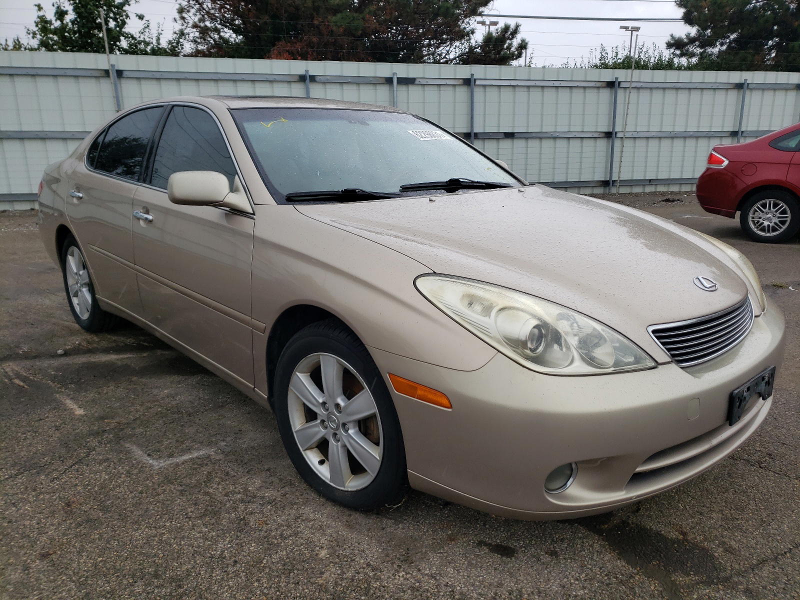 LEXUS ES 330 2005 with VIN JTHBA30G255091754 - Photo from auction