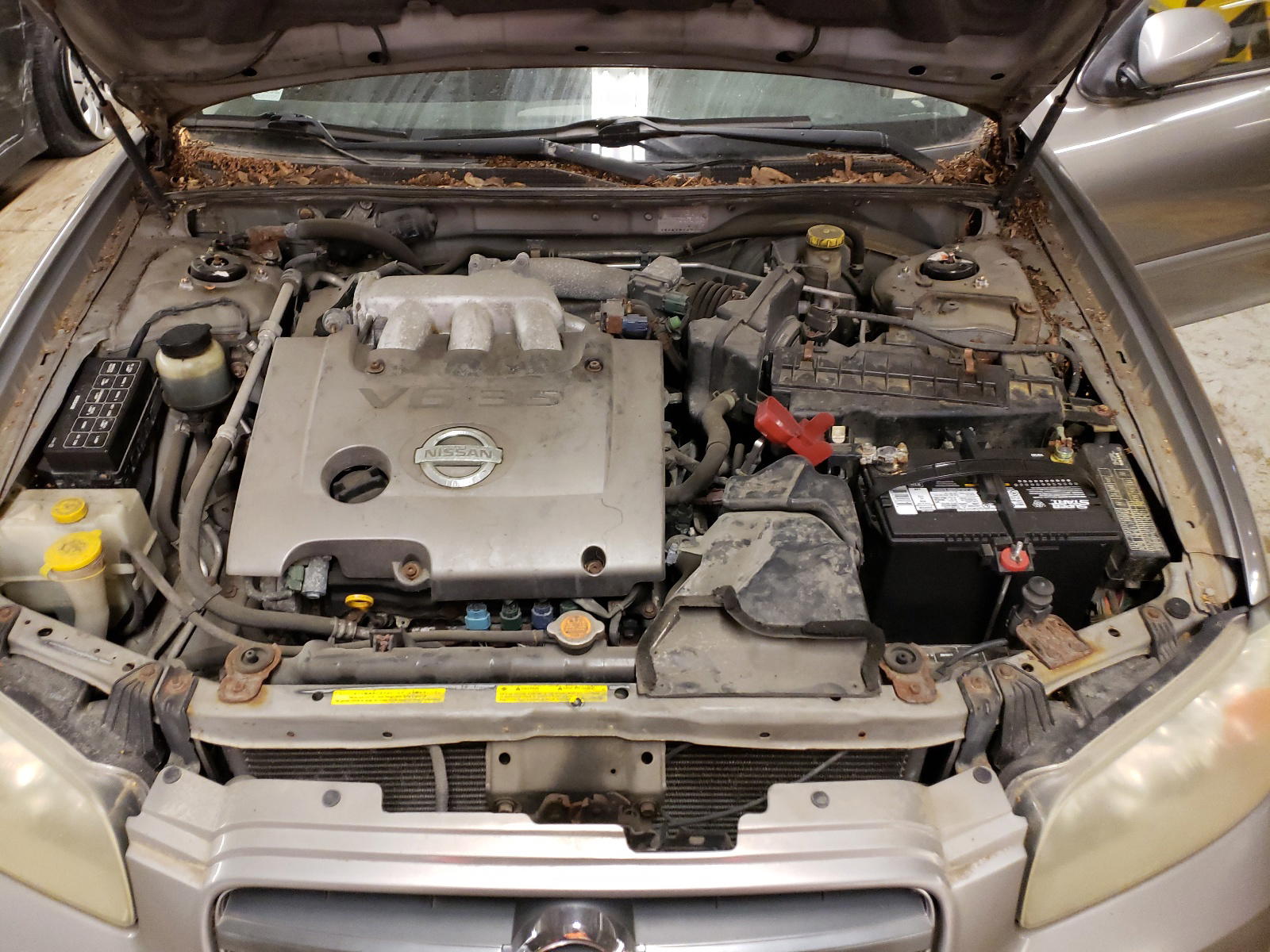 Photo 7 from auction – 2002 NISSAN MAXIMA with VIN JN1DA31D12T425071