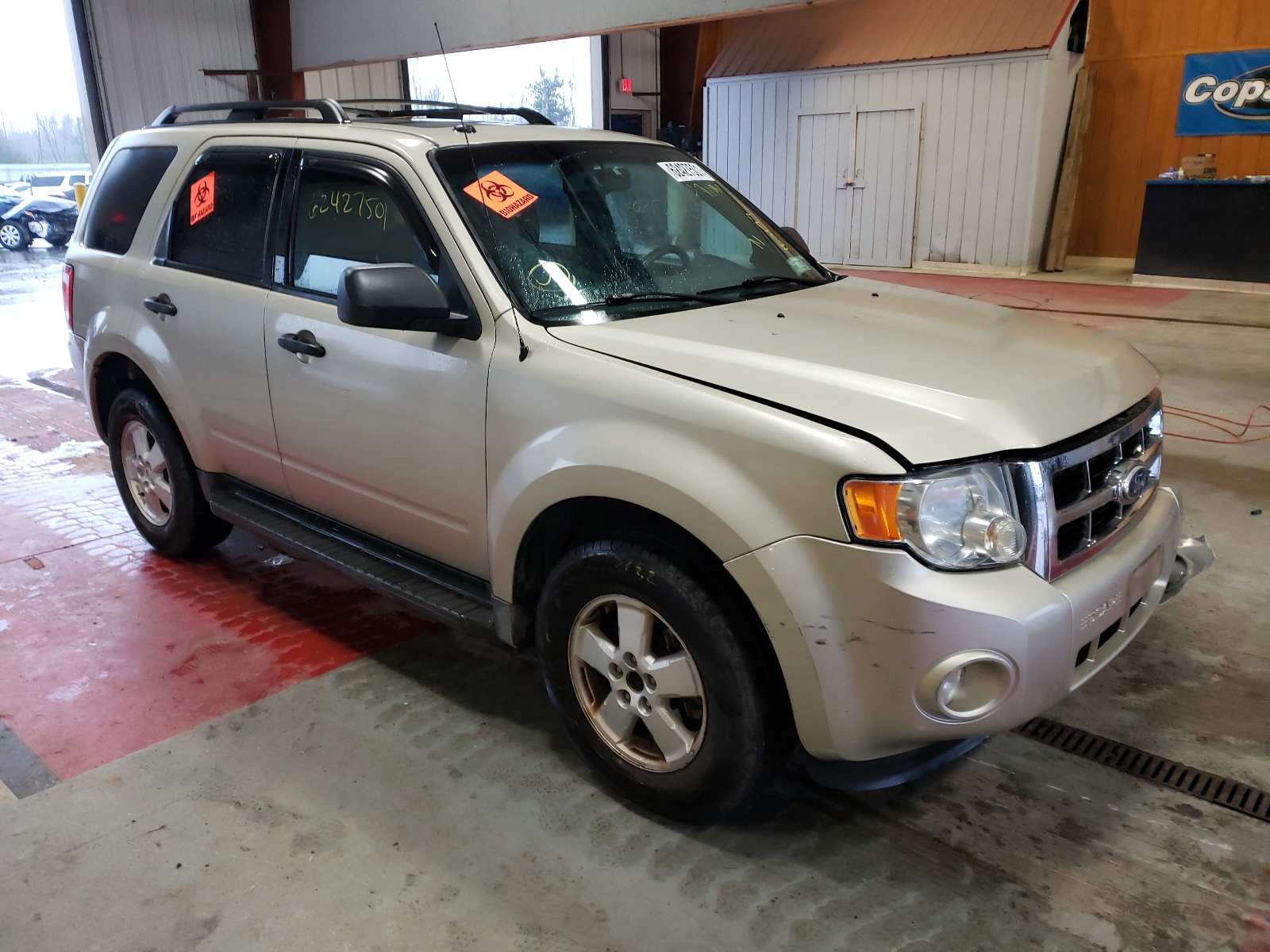 Photo 1 from auction – 2010 FORD ESCAPE XLT with VIN 1FMCU9DG8AKA71106