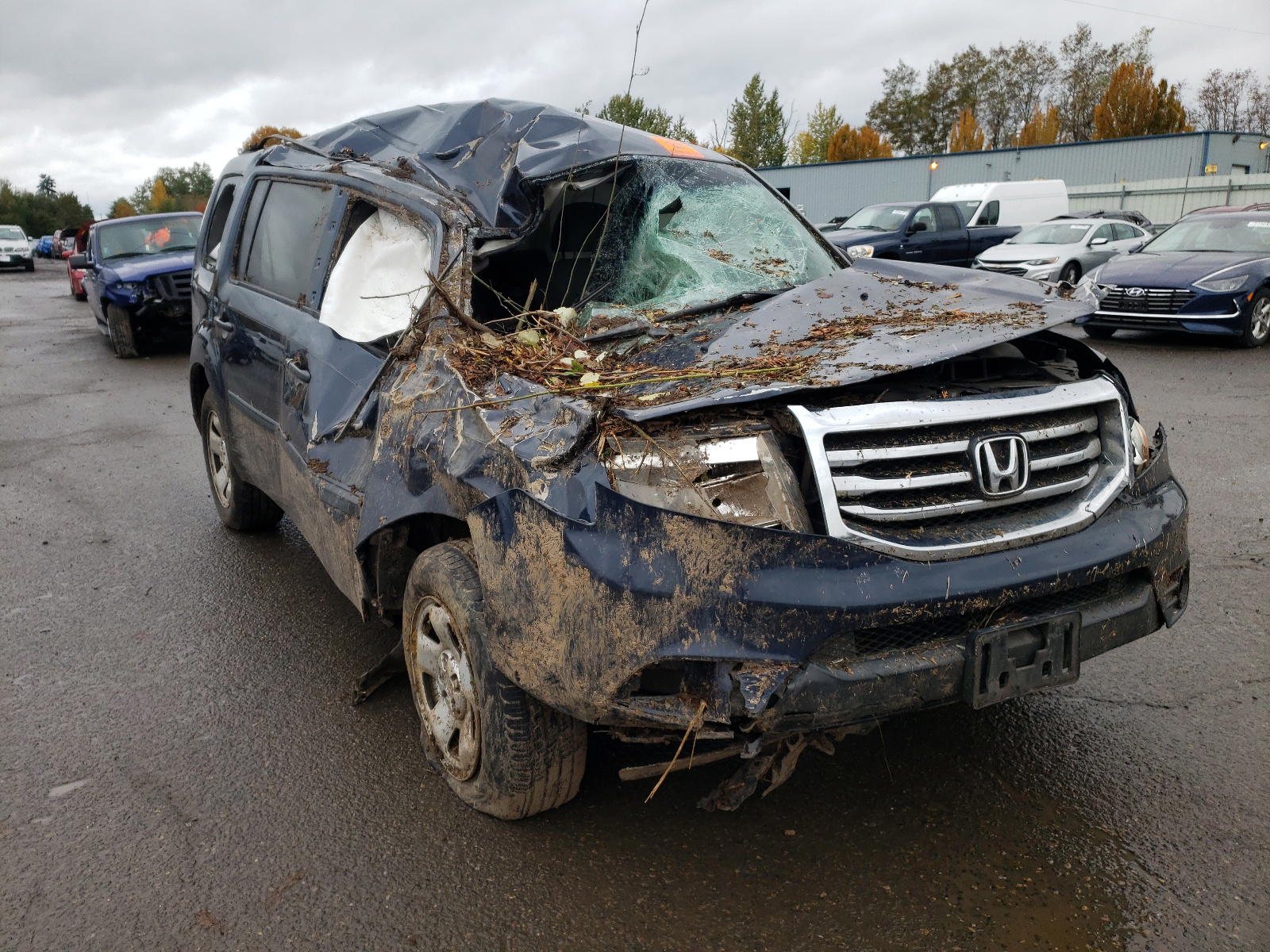 HONDA PILOT LX 2012 with VIN 5FNYF3H25CB013079 - Photo from auction