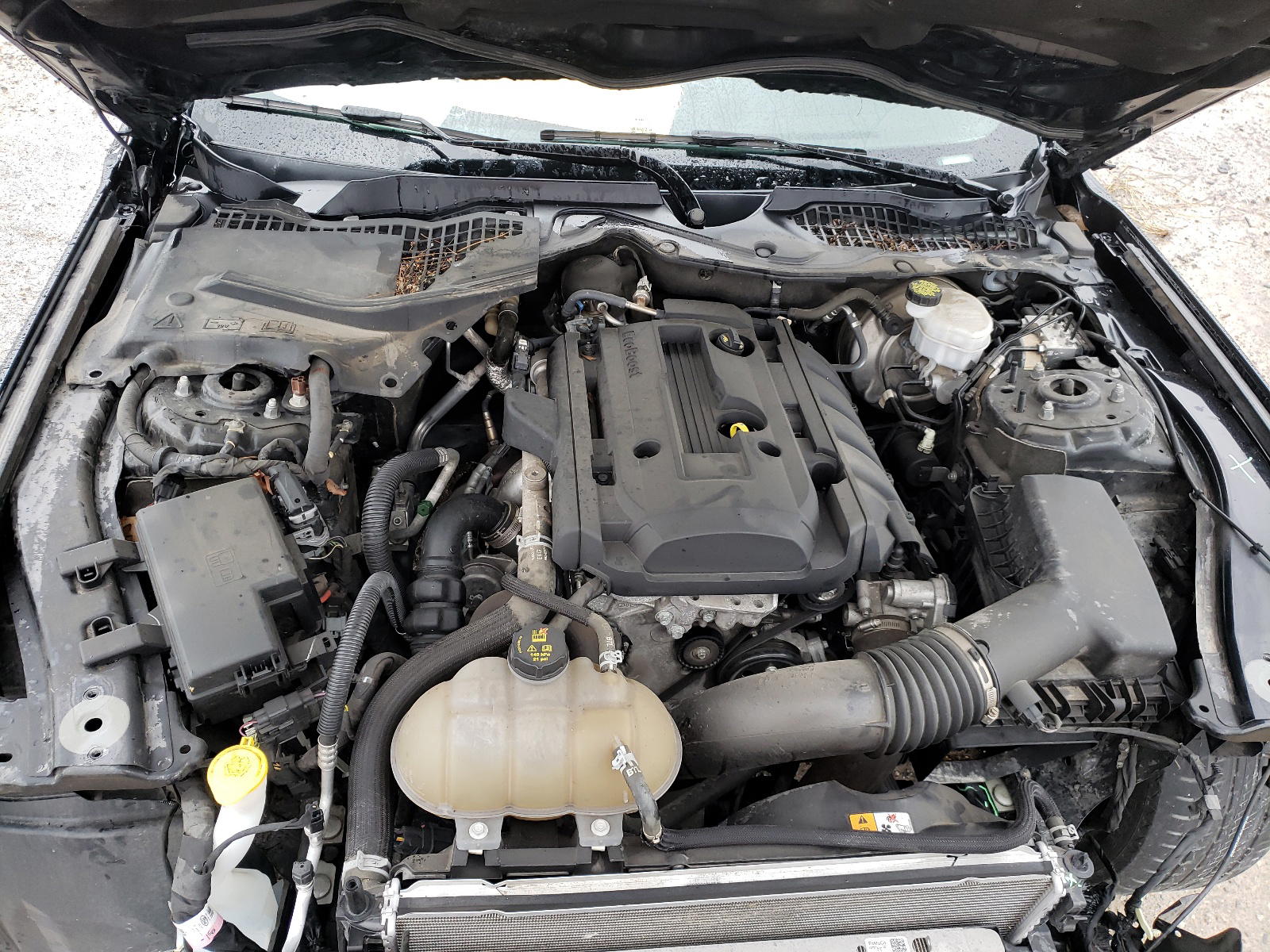 Photo 7 from auction – 2018 FORD MUSTANG with VIN 1FA6P8TH8J5122878