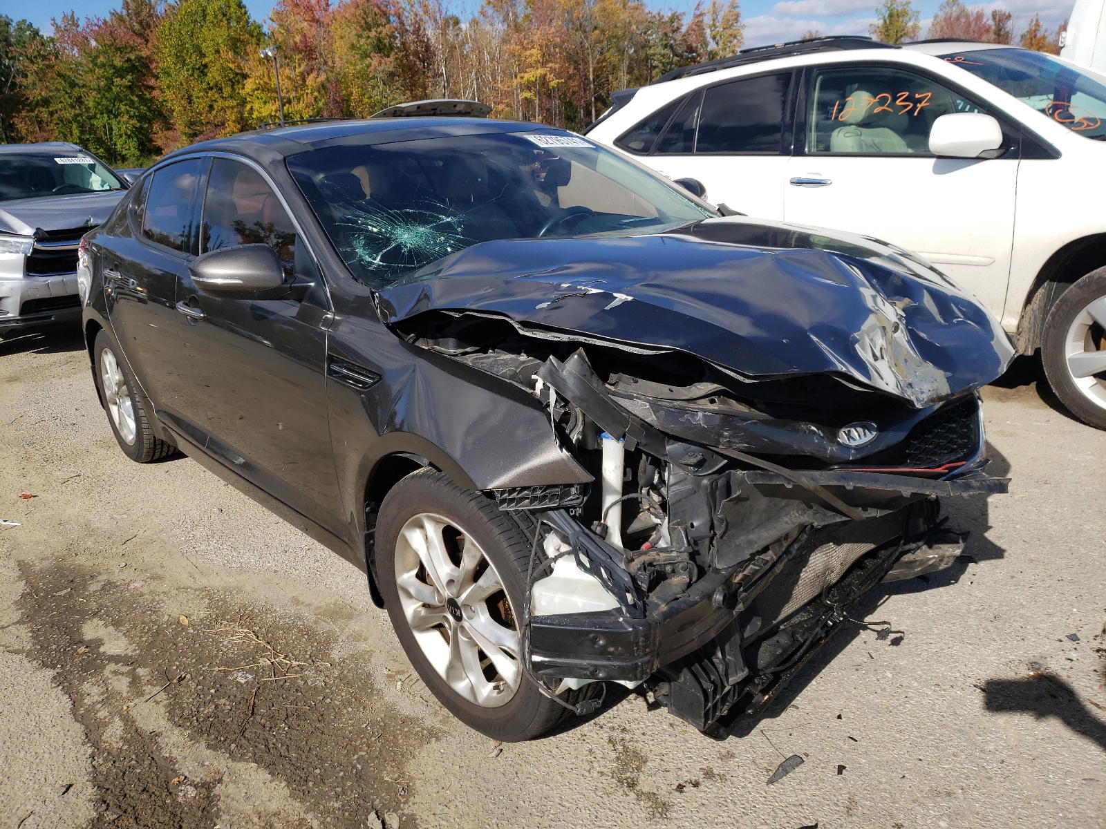 KIA OPTIMA EX 2011 with VIN KNAGN4A72B5083677 - Photo from auction