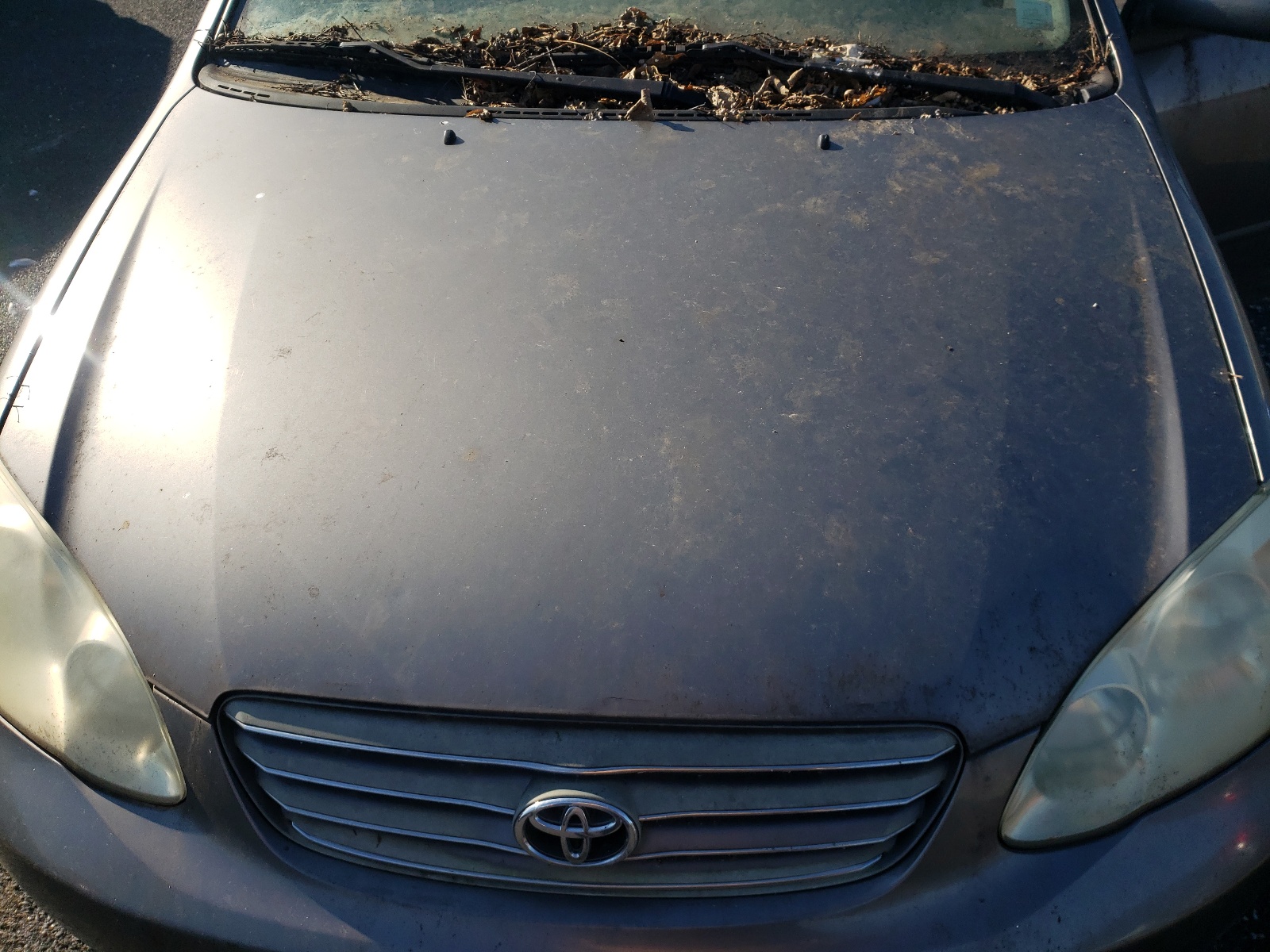 Photo 7 from auction – 2003 TOYOTA COROLLA CE with VIN 1NXBR32E33Z053700