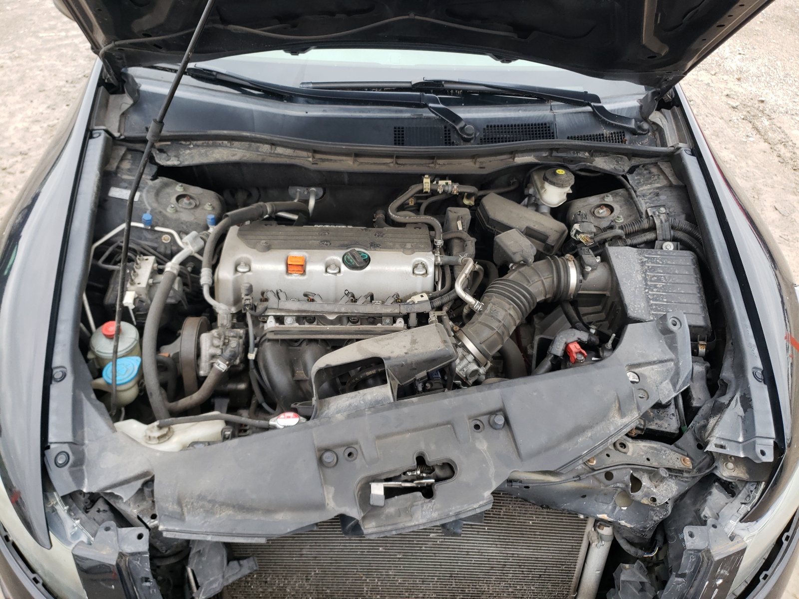 Photo 7 from auction – 2010 HONDA ACCORD LXP with VIN 1HGCP2F45AA136295