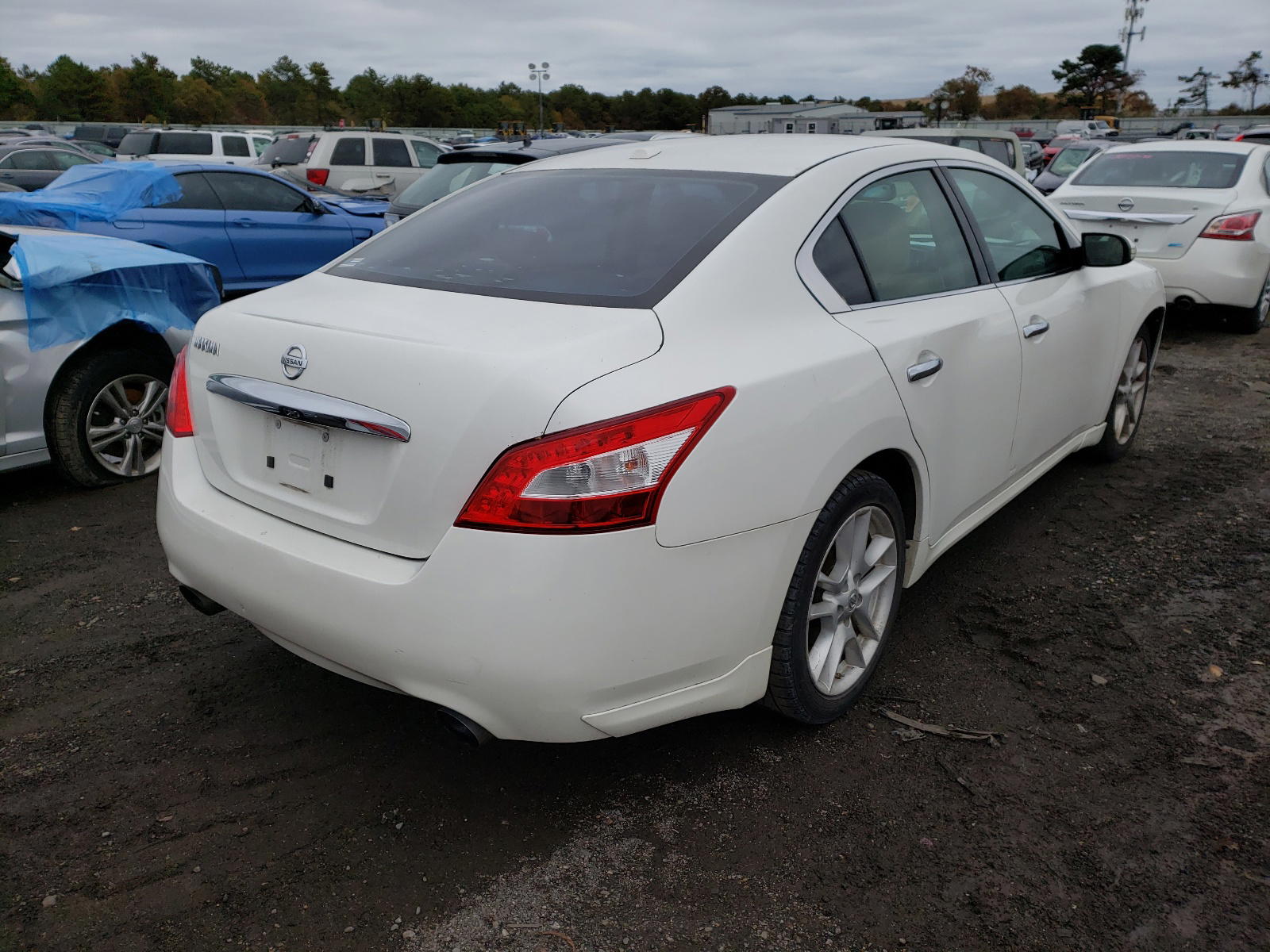 Photo 4 from auction – 2010 NISSAN MAXIMA S with VIN 1N4AA5AP6AC818073