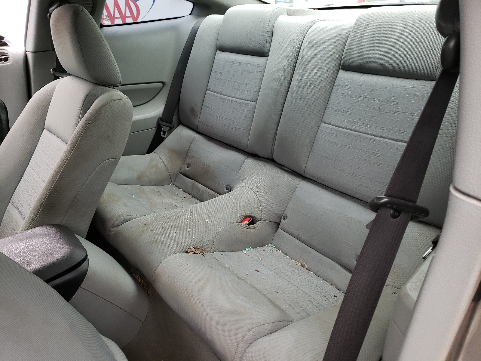 Photo 6 from auction – 2008 FORD MUSTANG with VIN 1ZVHT80N785124458
