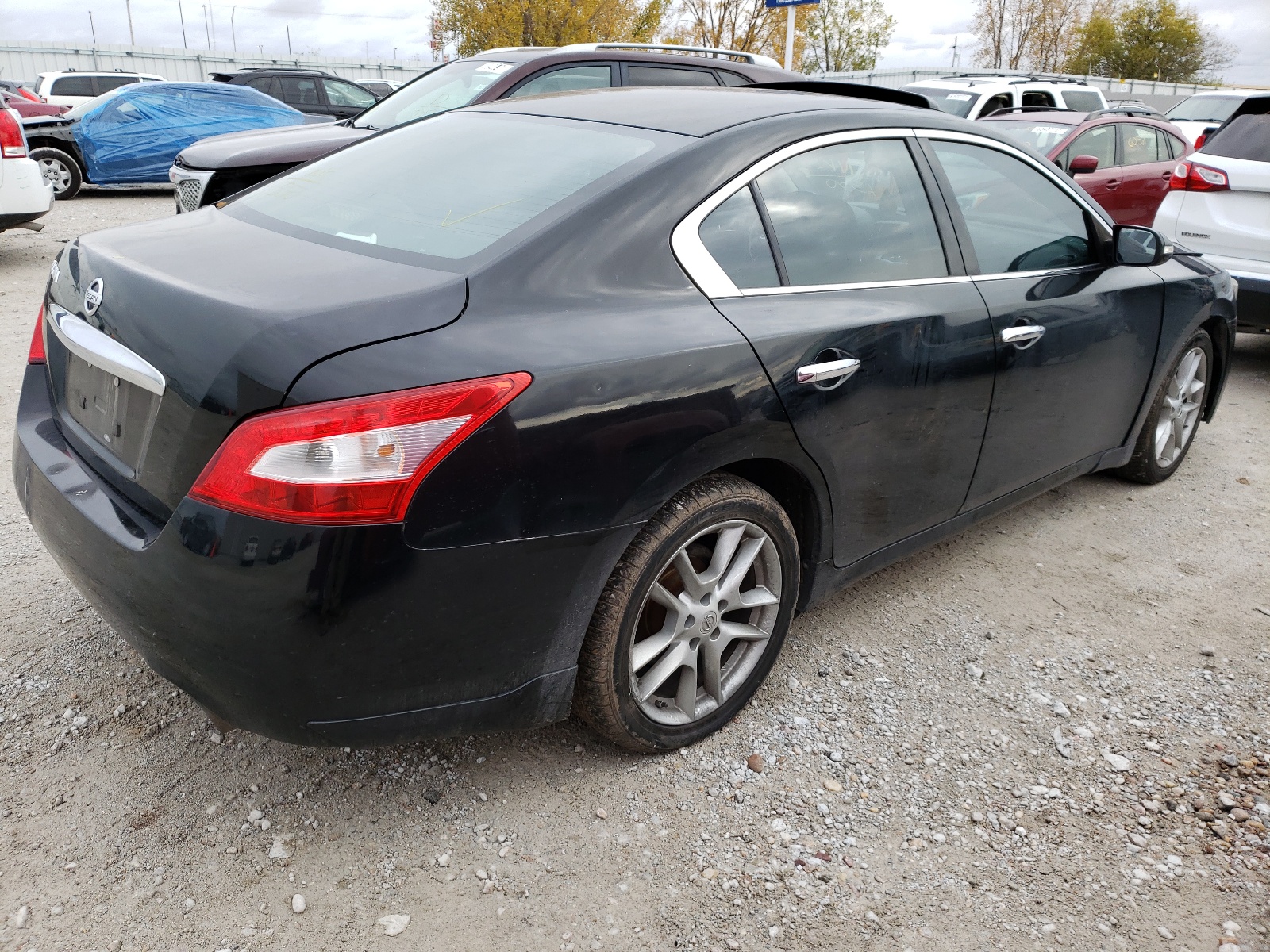 Photo 4 from auction – 2009 NISSAN MAXIMA S with VIN 1N4AA51E69C861550