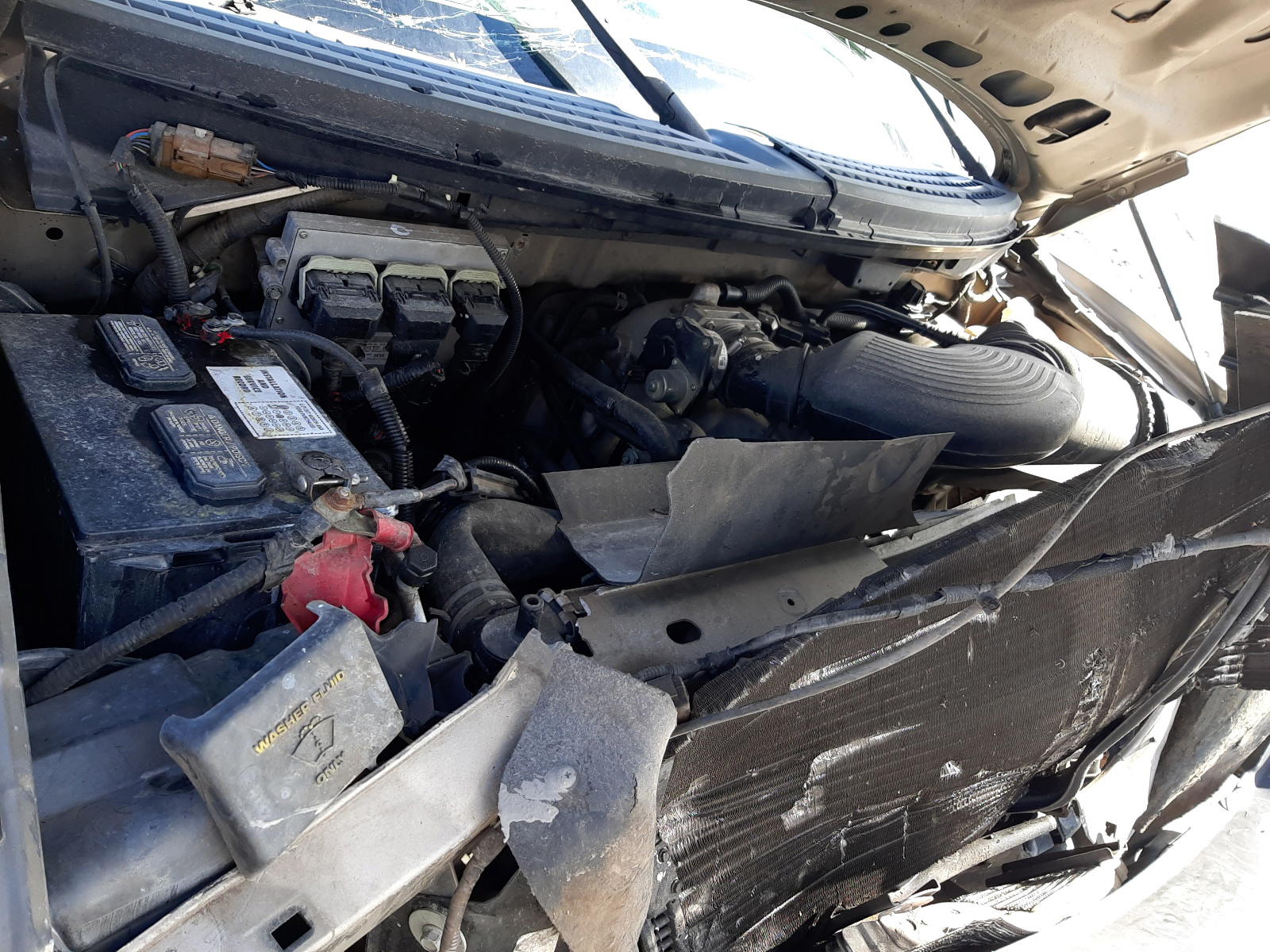 Photo 7 from auction – 2005 FORD F150 with VIN 1FTRF12W05NB46423