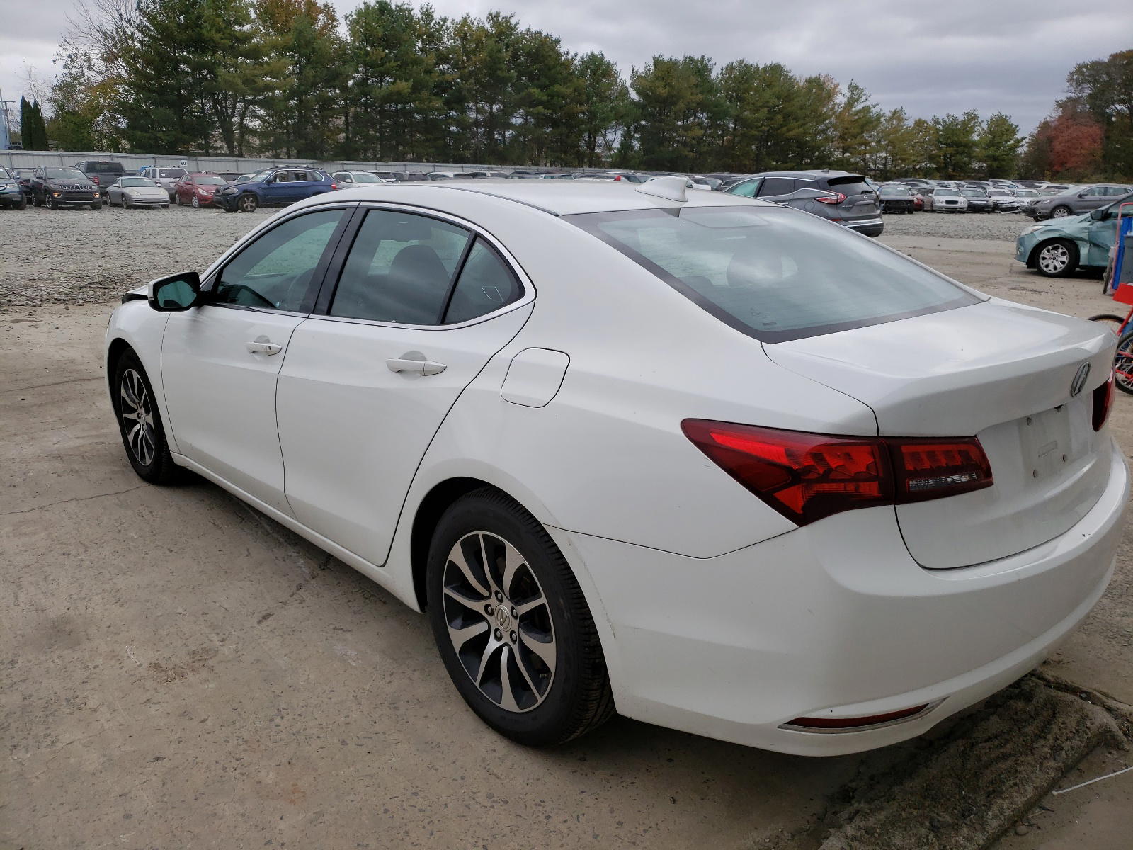 Photo 3 from auction – 2015 ACURA TLX with VIN 19UUB1F35FA002379