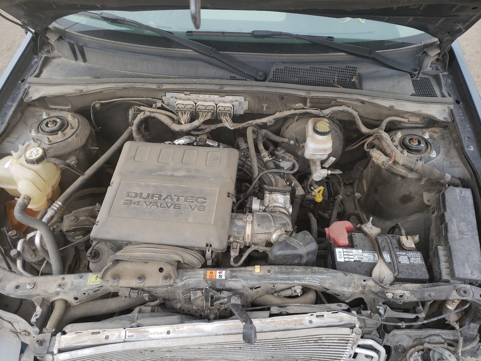 Photo 7 from auction – 2010 FORD ESCAPE XLT with VIN 1FMCU0DG8AKA44807