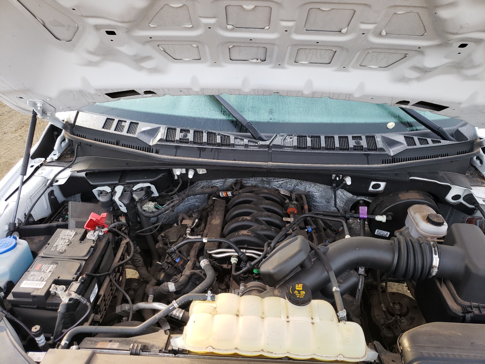 Photo 7 from auction – 2019 FORD F150 with VIN 1FTMF1C58KKD92696
