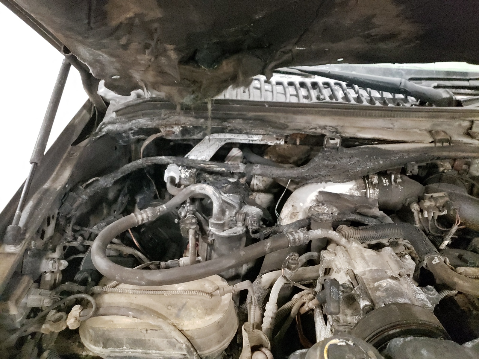 Photo 9 from auction – 2001 FORD F250 SUPER with VIN 1FTNX21F81EC40563