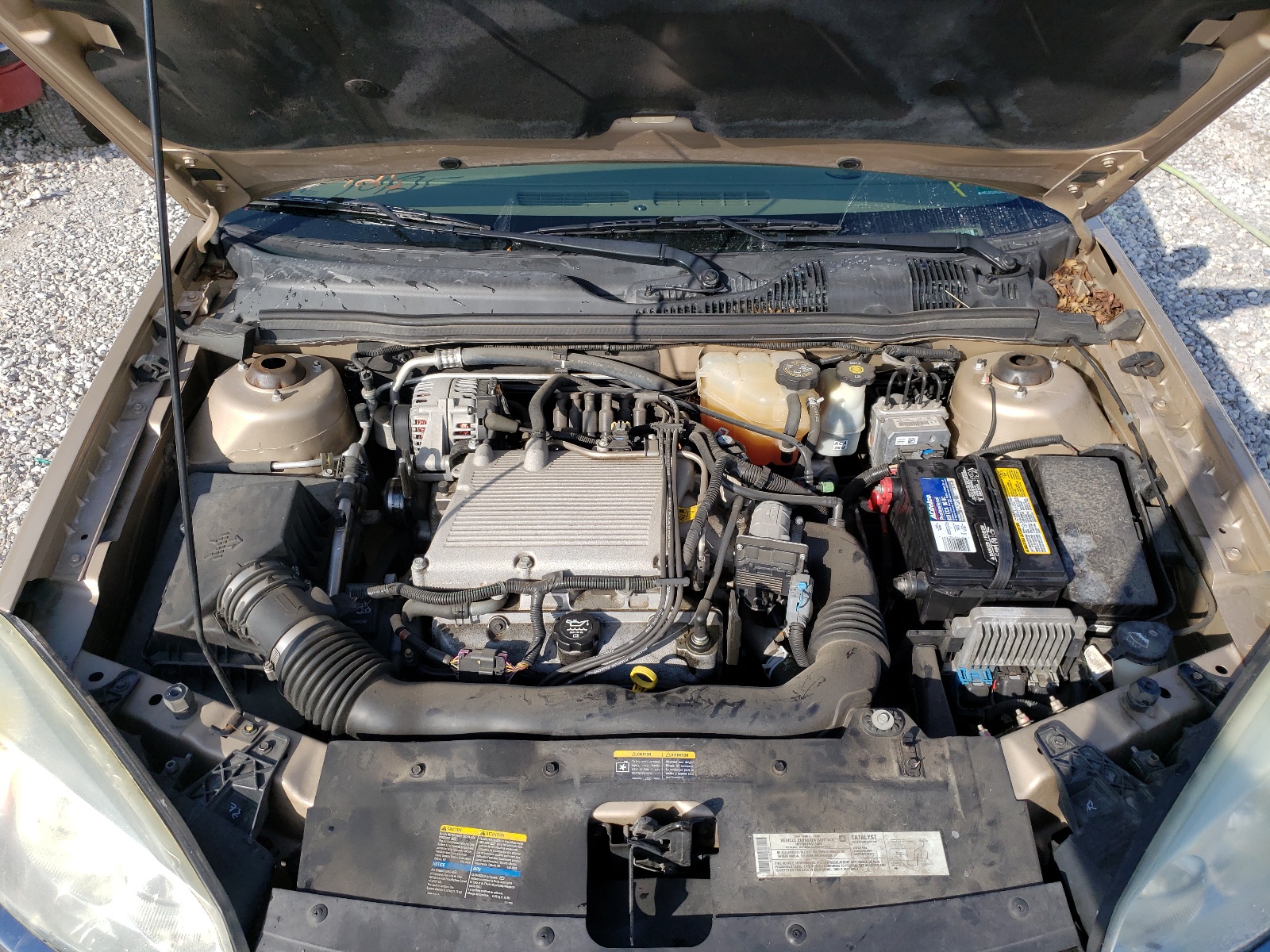 Photo 7 from auction – 2004 CHEVROLET MALIBU MAX with VIN 1G1ZU64884F220755