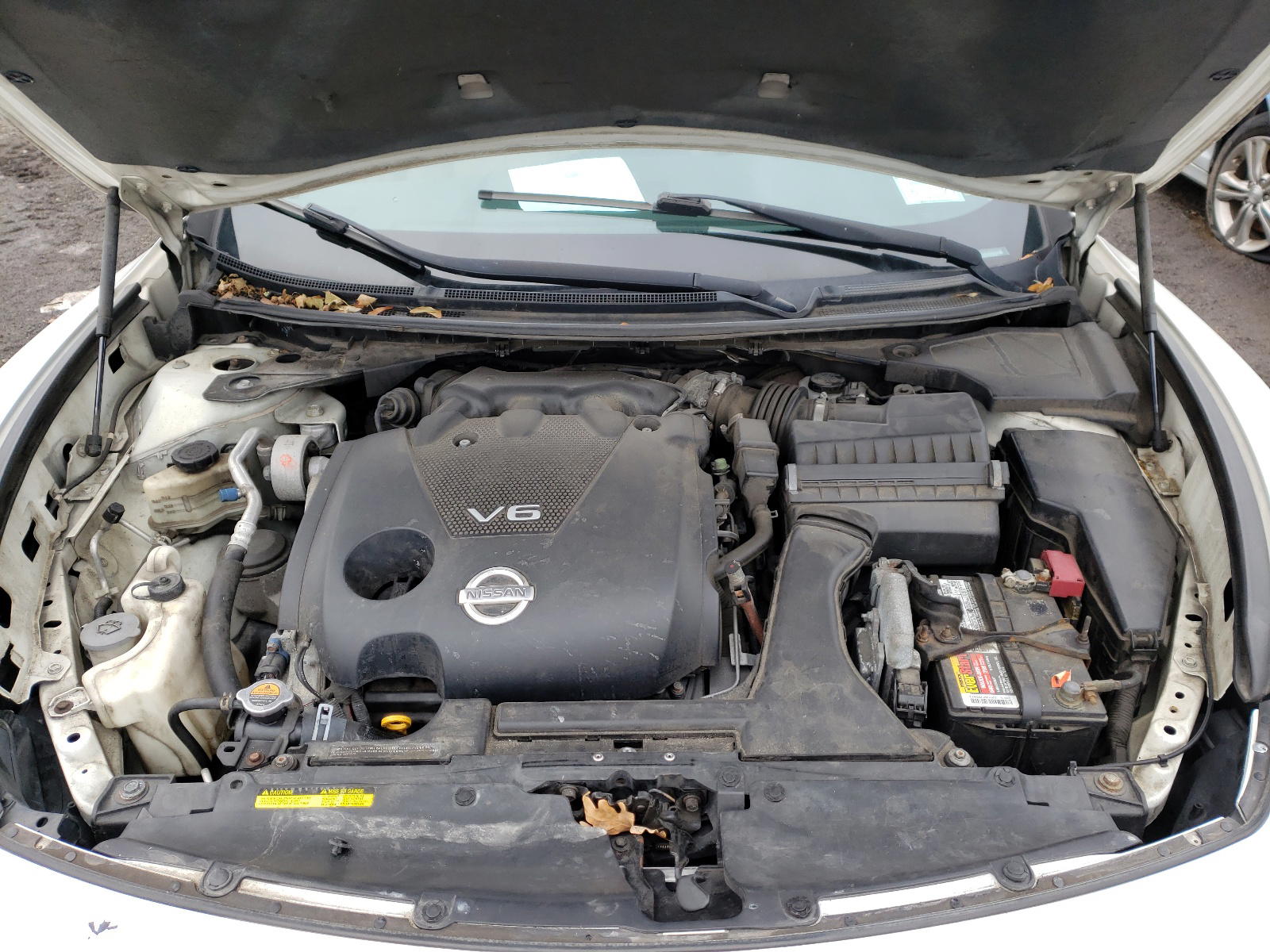 Photo 7 from auction – 2010 NISSAN MAXIMA S with VIN 1N4AA5AP6AC818073