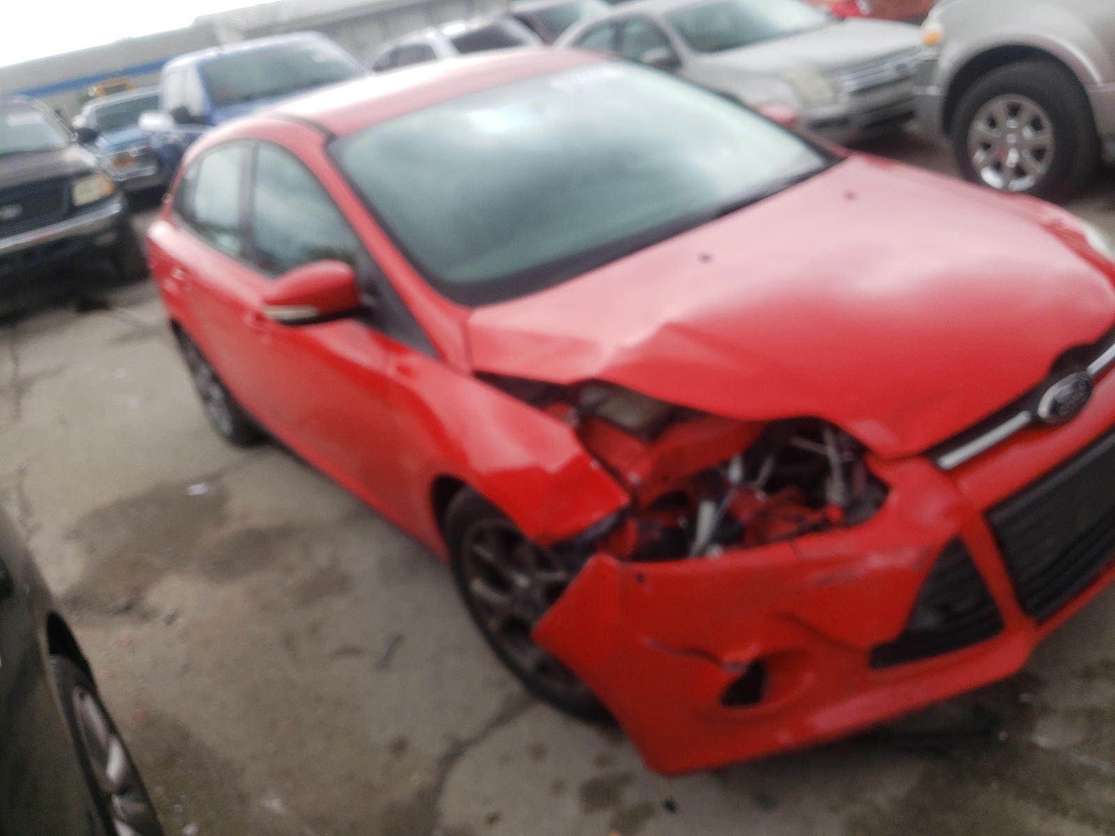 FORD FOCUS SE 2014 with VIN 1FADP3F25EL333376 - Photo from auction