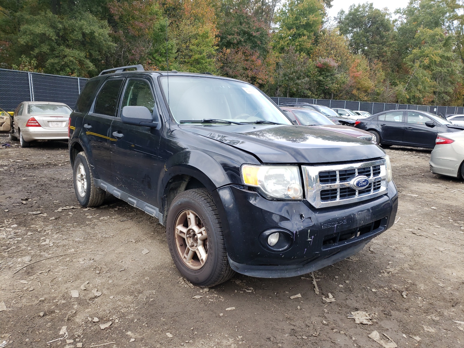 FORD ESCAPE XLT 2010 with VIN 1FMCU9DG7AKC27832 - Photo from auction