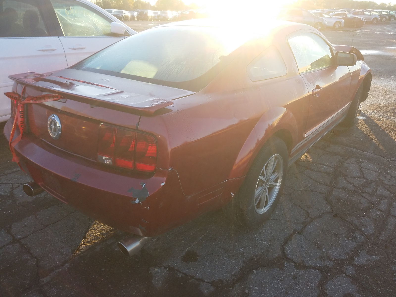 Photo 4 from auction – 2005 FORD MUSTANG with VIN 1ZVFT80N755141084