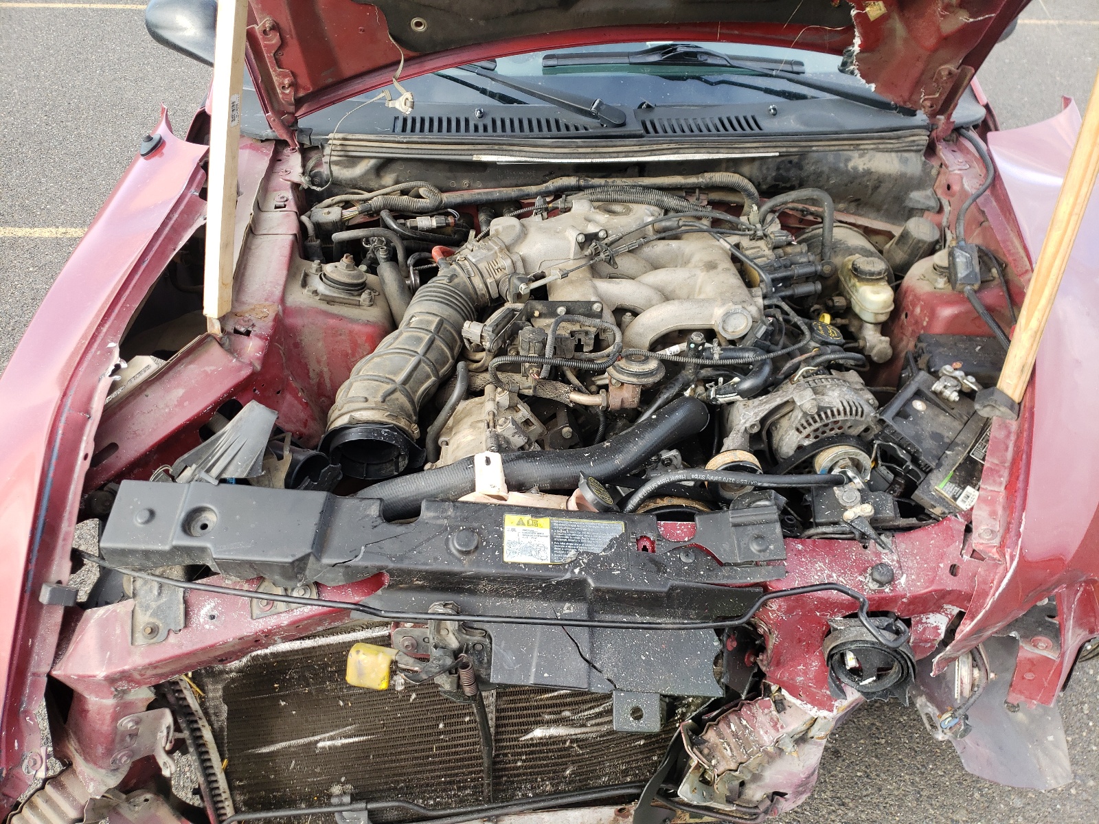 Photo 7 from auction – 2003 FORD MUSTANG with VIN 1FAFP40483F383242