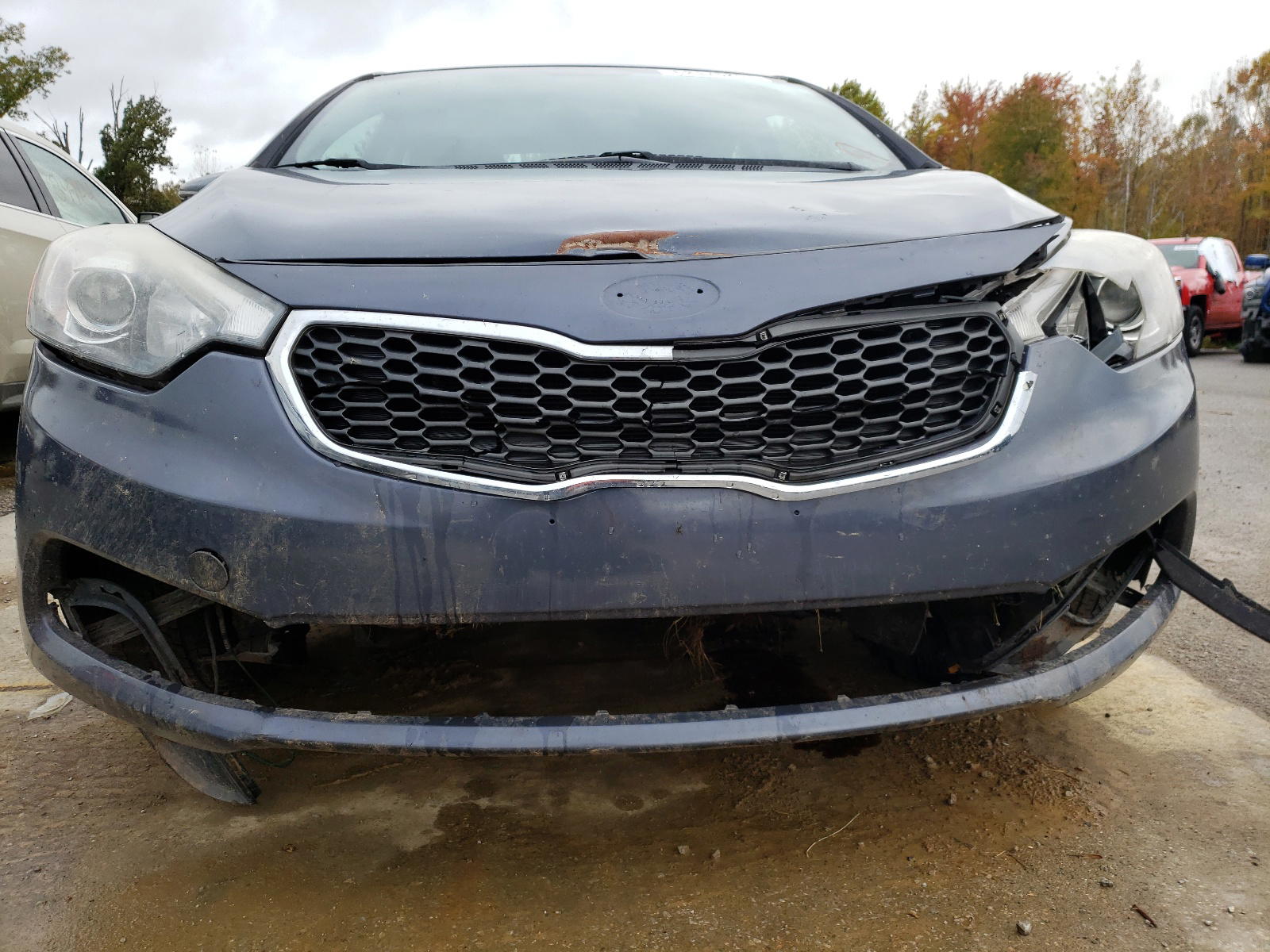 Photo 9 from auction – 2015 KIA FORTE EX with VIN KNAFX4A88F5392851
