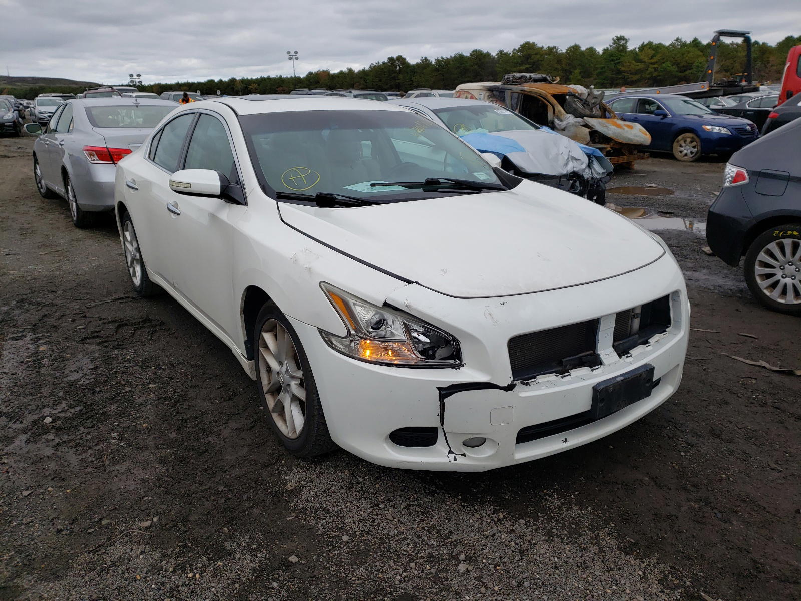 NISSAN MAXIMA S 2010 with VIN 1N4AA5AP6AC818073 - Photo from auction