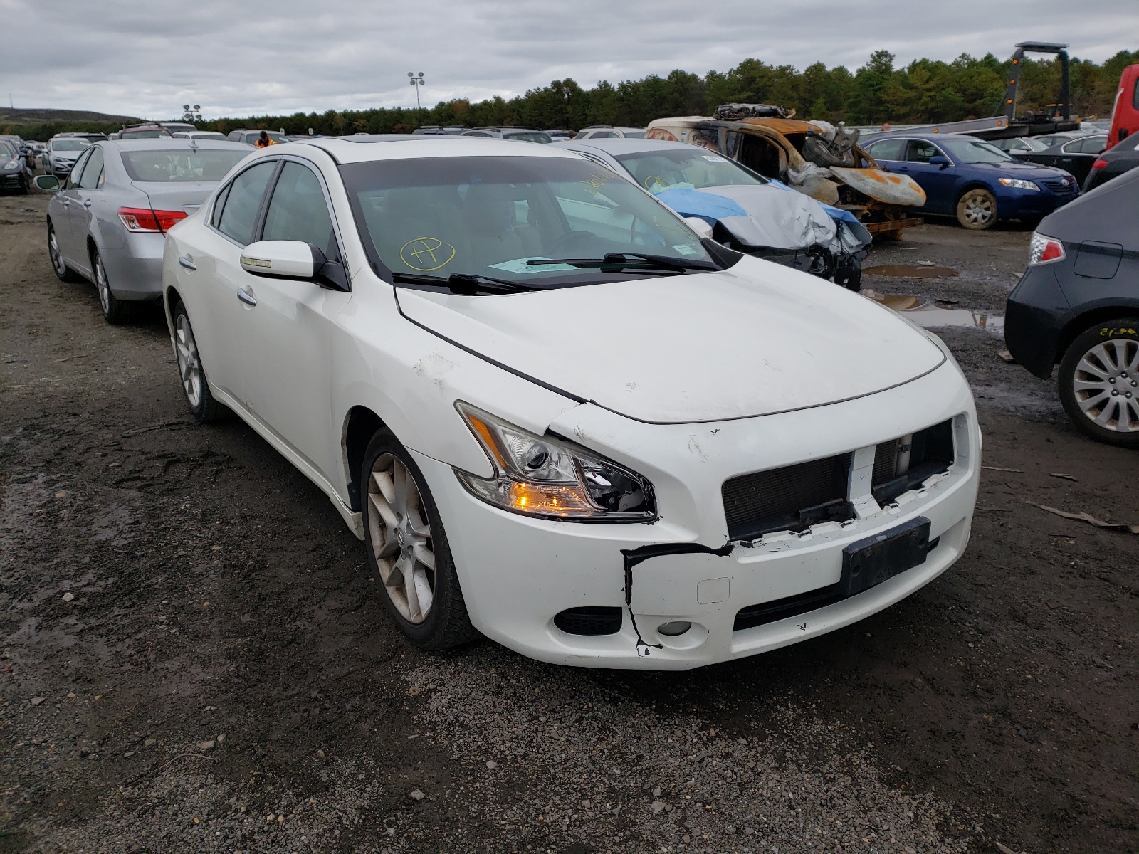 NISSAN MAXIMA S 2010 z numerem VIN 1N4AA5AP6AC818073 - Zdjęcie z aukcji