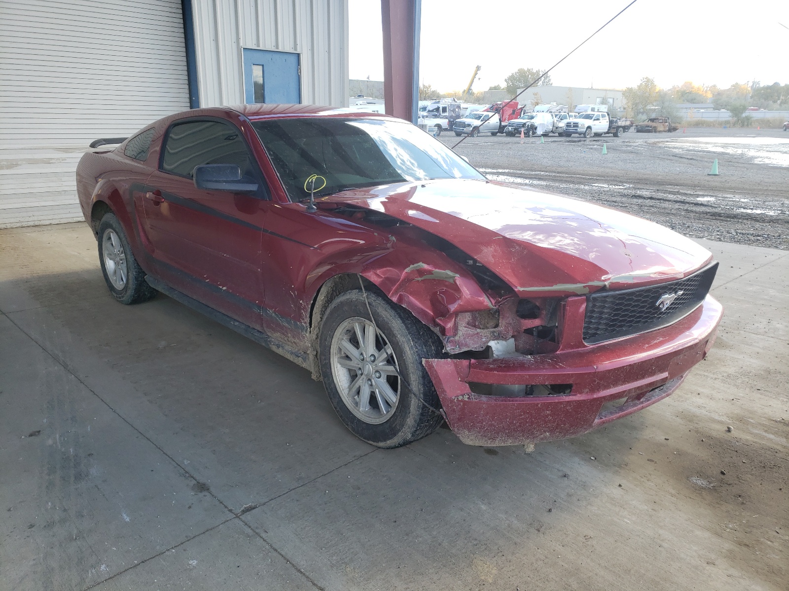 Photo 1 from auction – 2007 FORD MUSTANG with VIN 1ZVFT80N975365430
